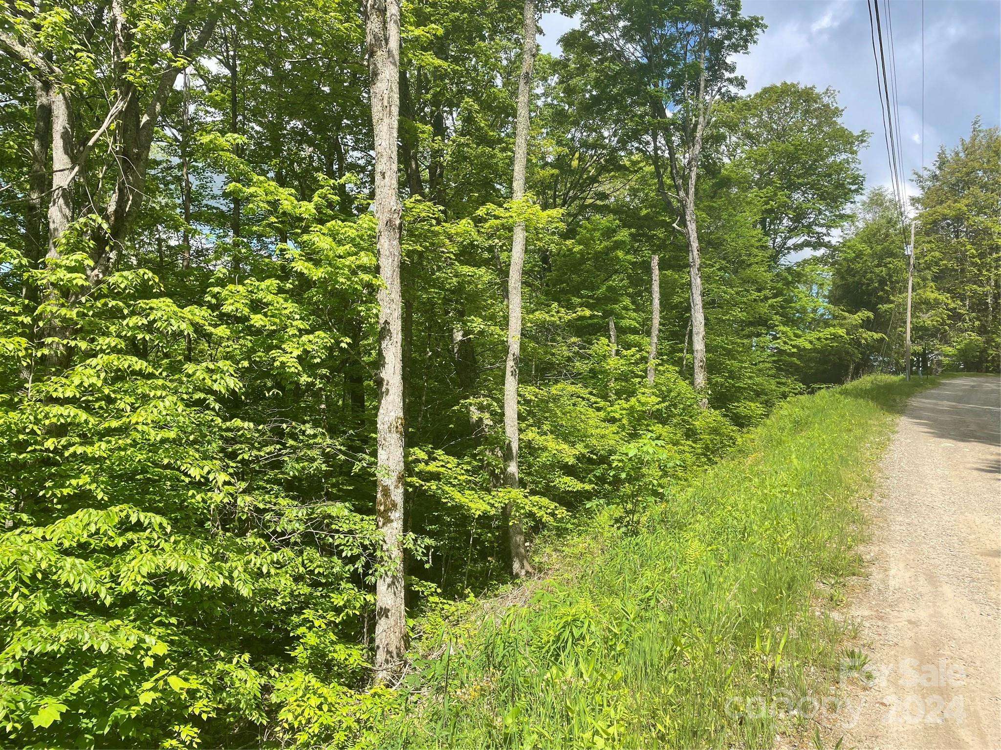 000 El Miner DR #577, Mars Hill, NC 28754