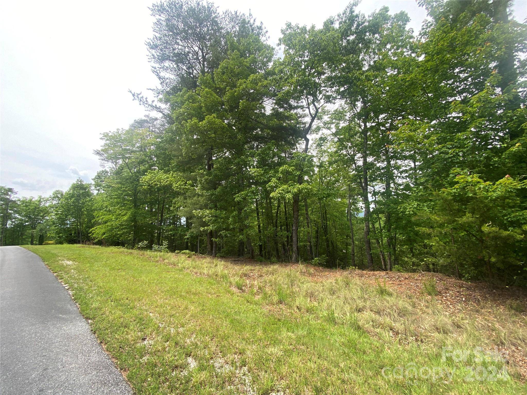 Lot 49 Bald Eagle LN, Marion, NC 28752