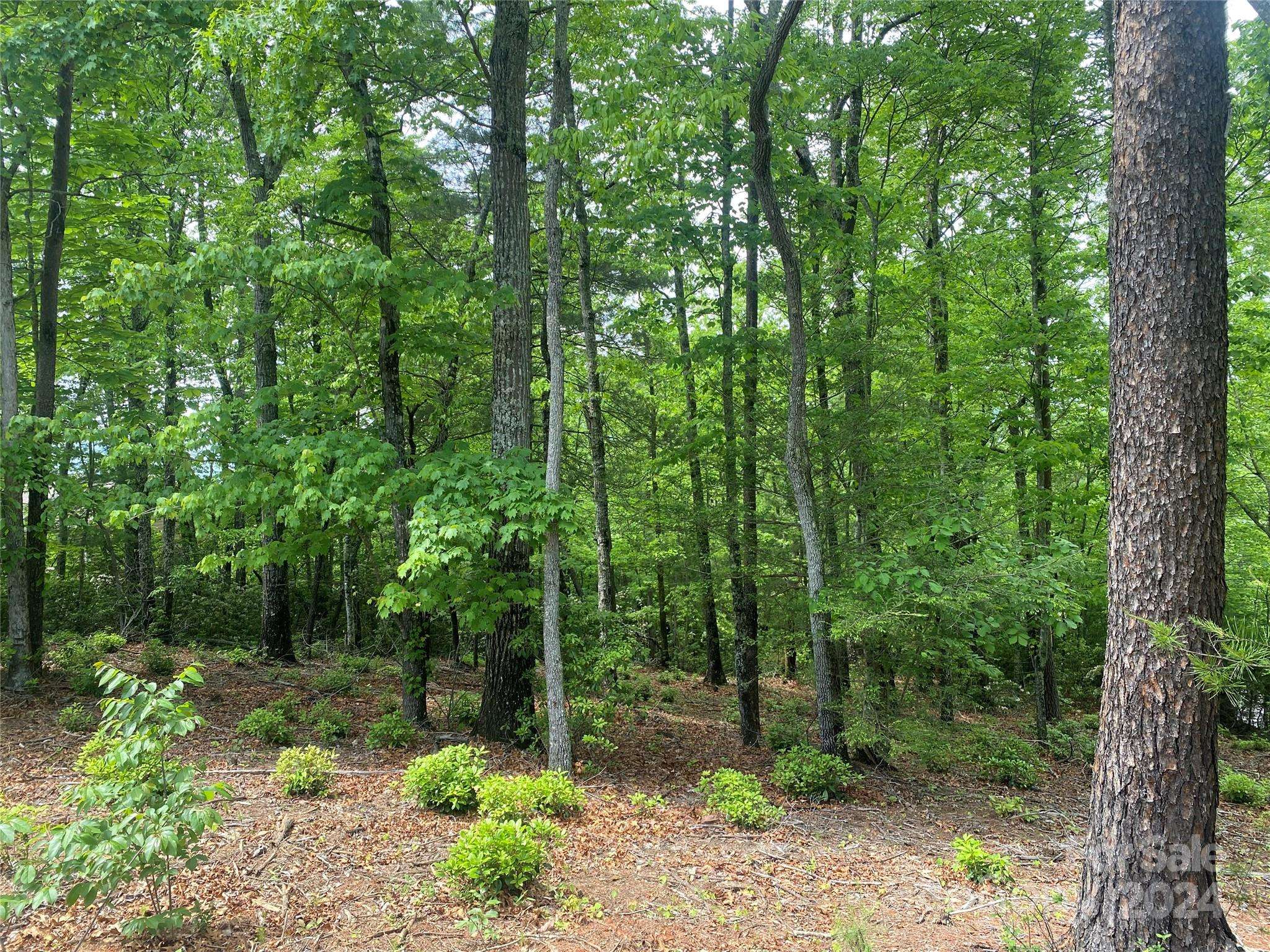 Lot 49 Bald Eagle LN, Marion, NC 28752