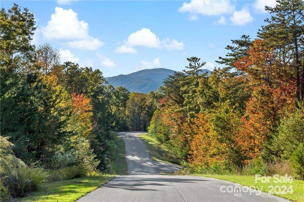 Lot 49 Bald Eagle LN, Marion, NC 28752