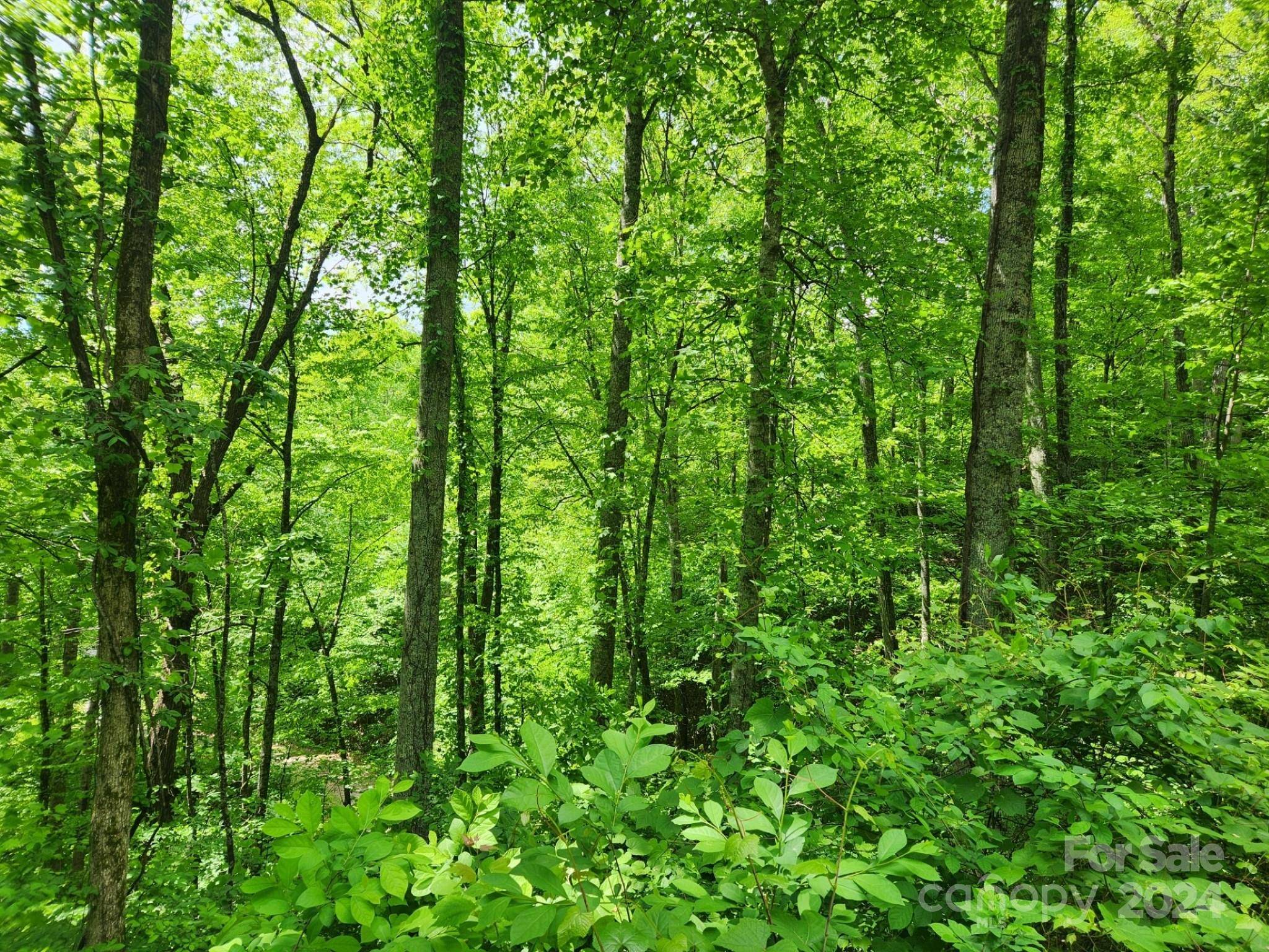 000 Chandra LN #402, Leicester, NC 28748