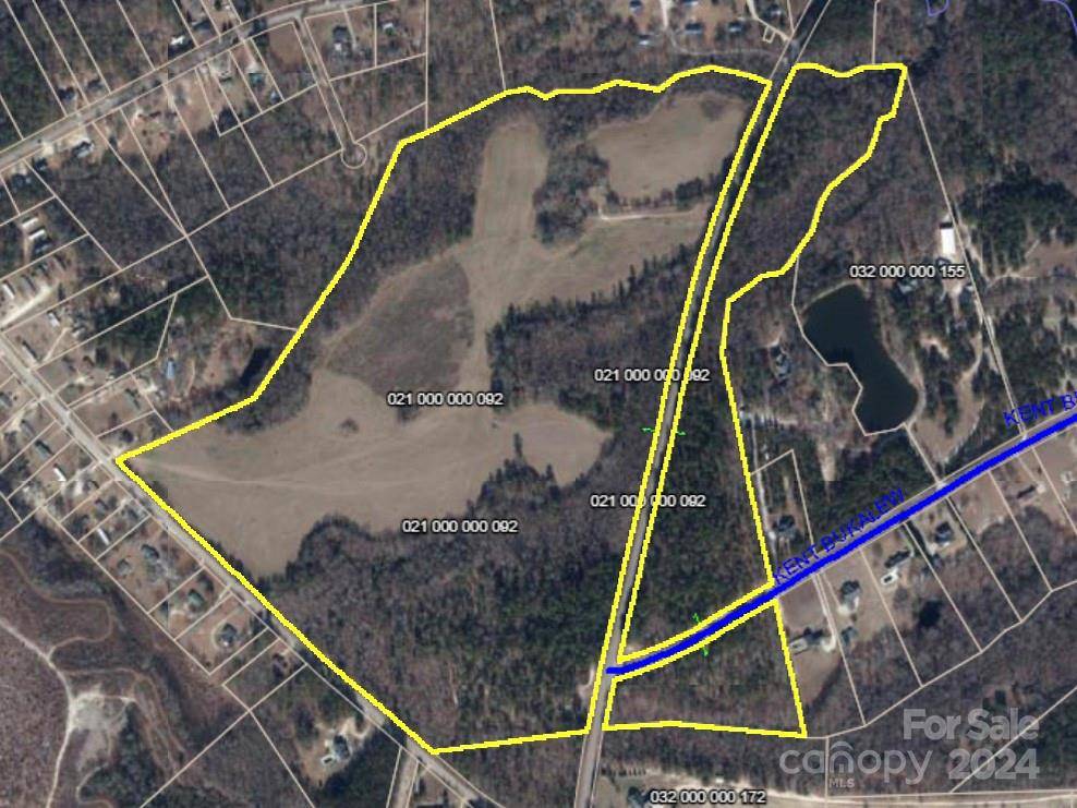 TBD S Arant ST, Pageland, SC 29728