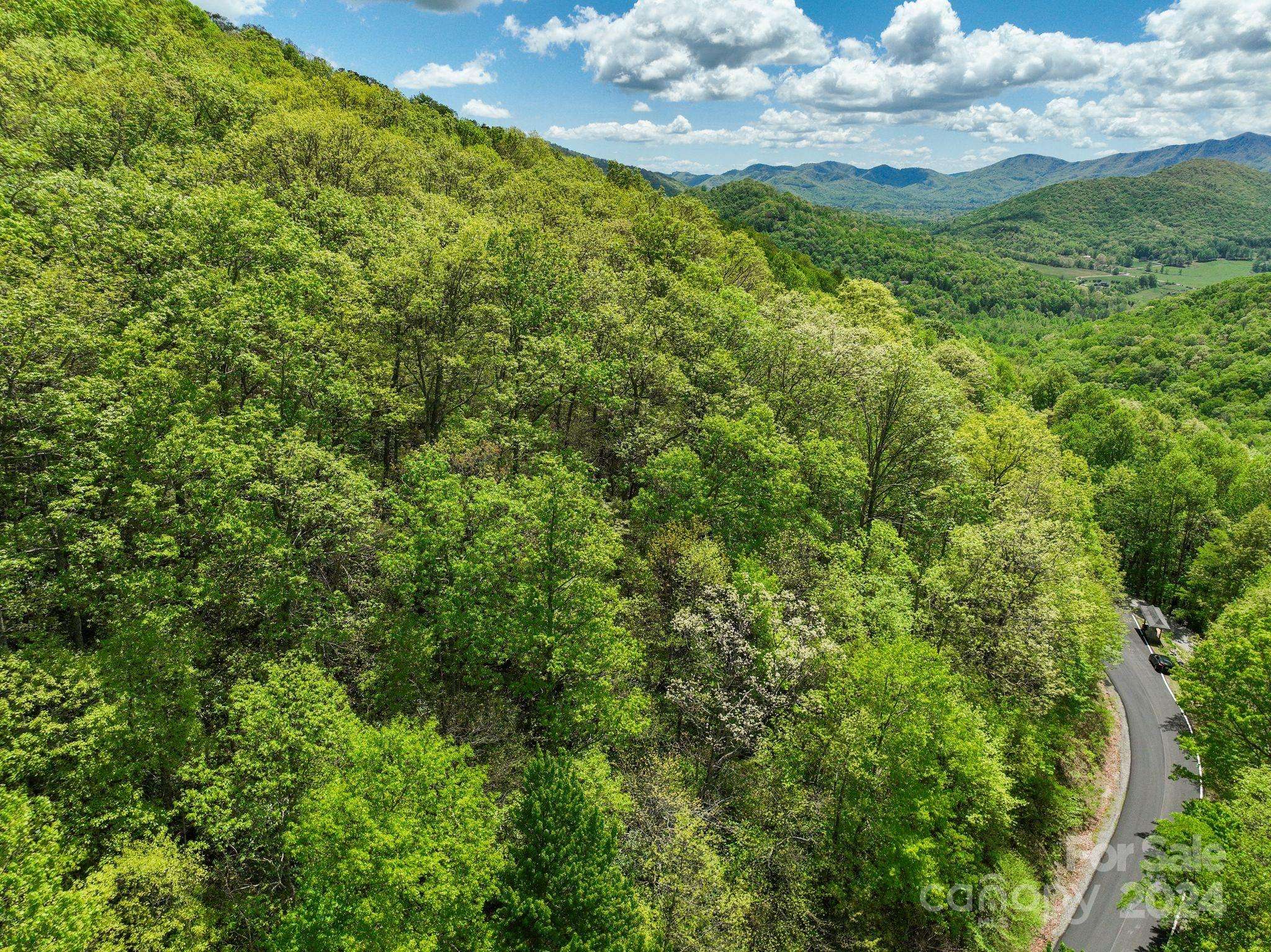 99999 Winding Poplar RD #909, Black Mountain, NC 28711