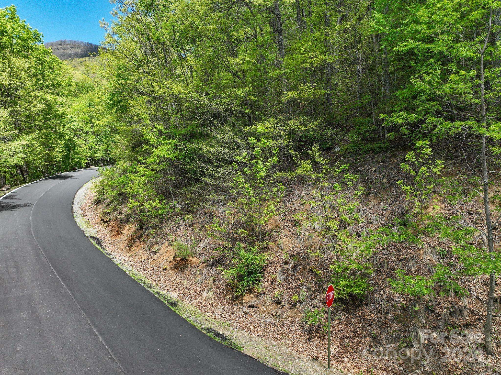 99999 Winding Poplar RD #909, Black Mountain, NC 28711