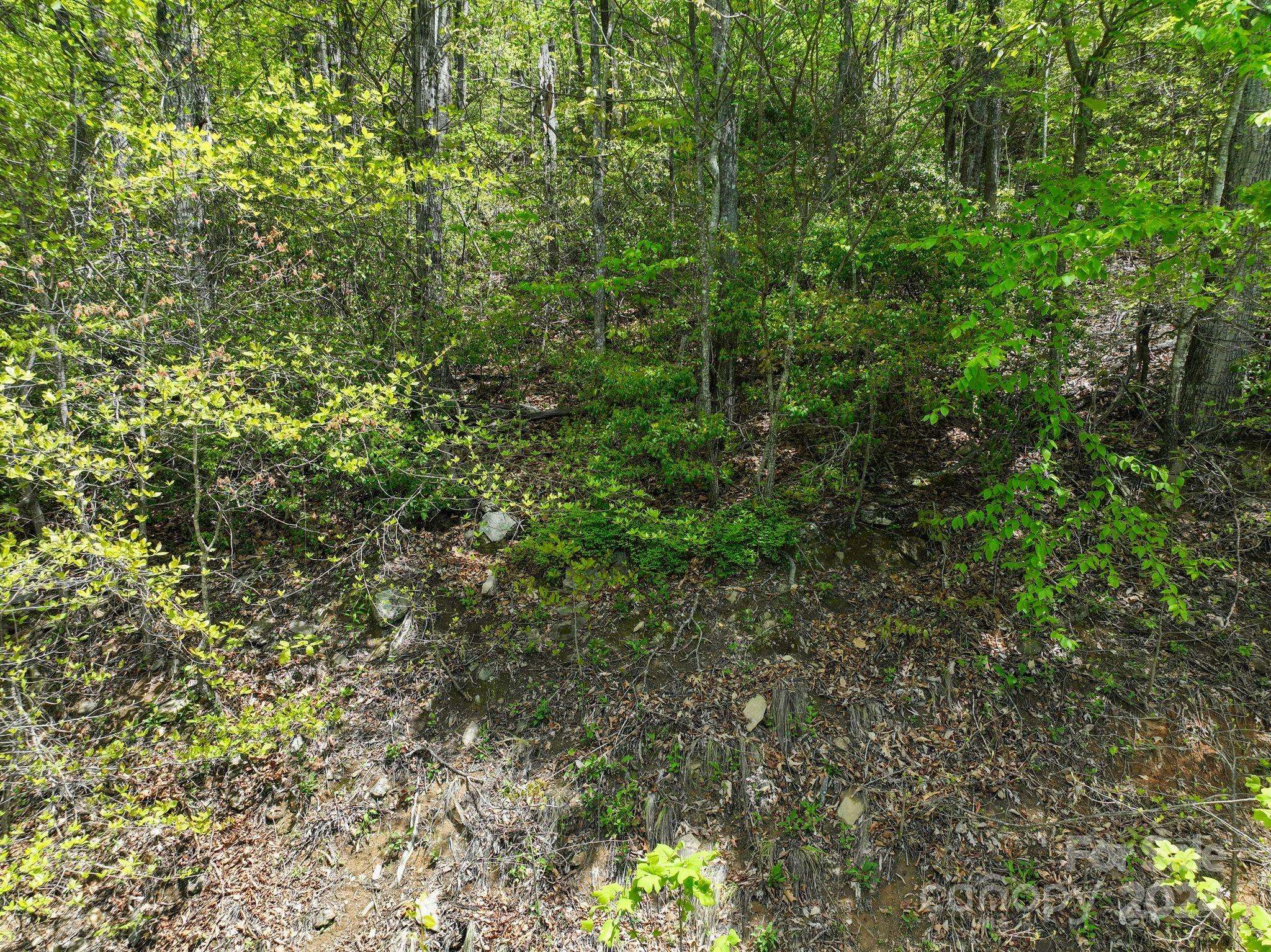 99999 Winding Poplar RD #909, Black Mountain, NC 28711