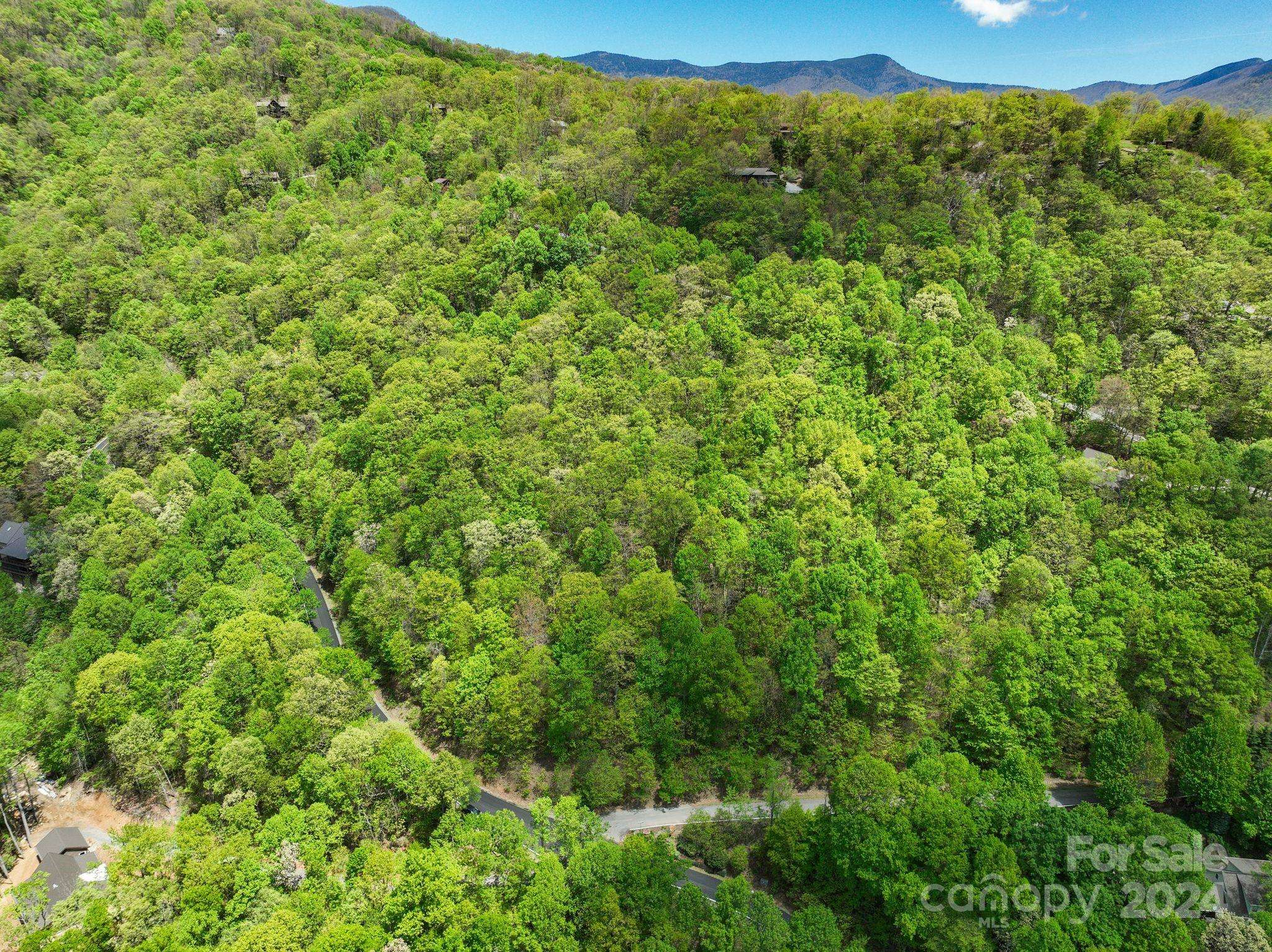 99999 Winding Poplar RD #909, Black Mountain, NC 28711