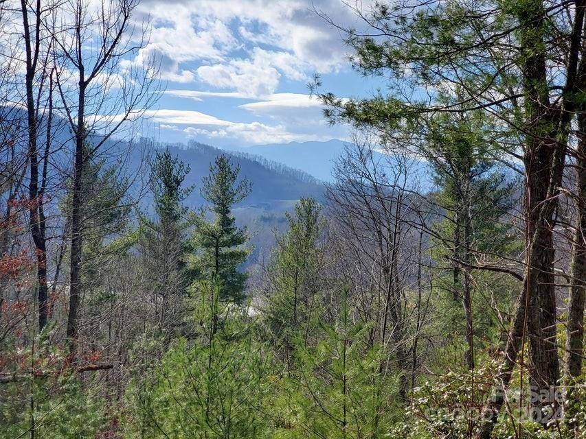00 Elkins RD #20, Bakersville, NC 28705