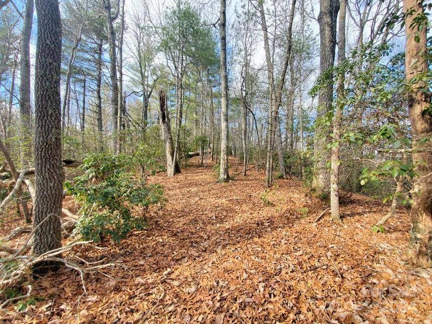00 Elkins RD #20, Bakersville, NC 28705