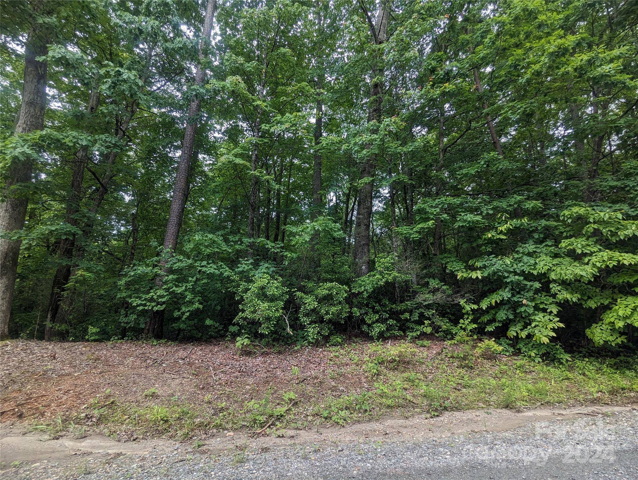 00 Jones CT #LOT 552, Lake Lure, NC 28746