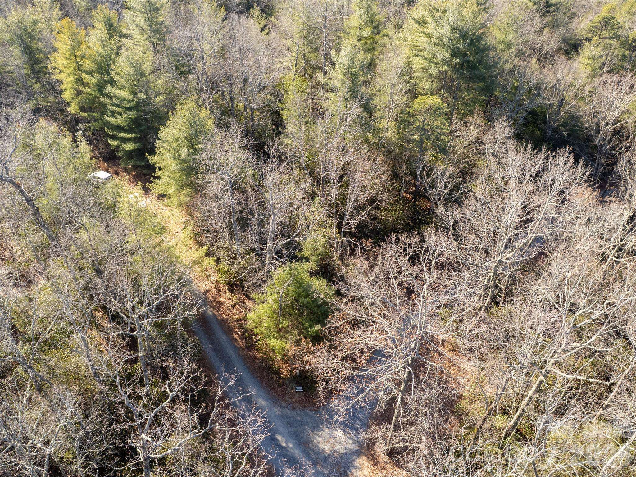 72 Emma Bri LN, Penrose, NC 28766