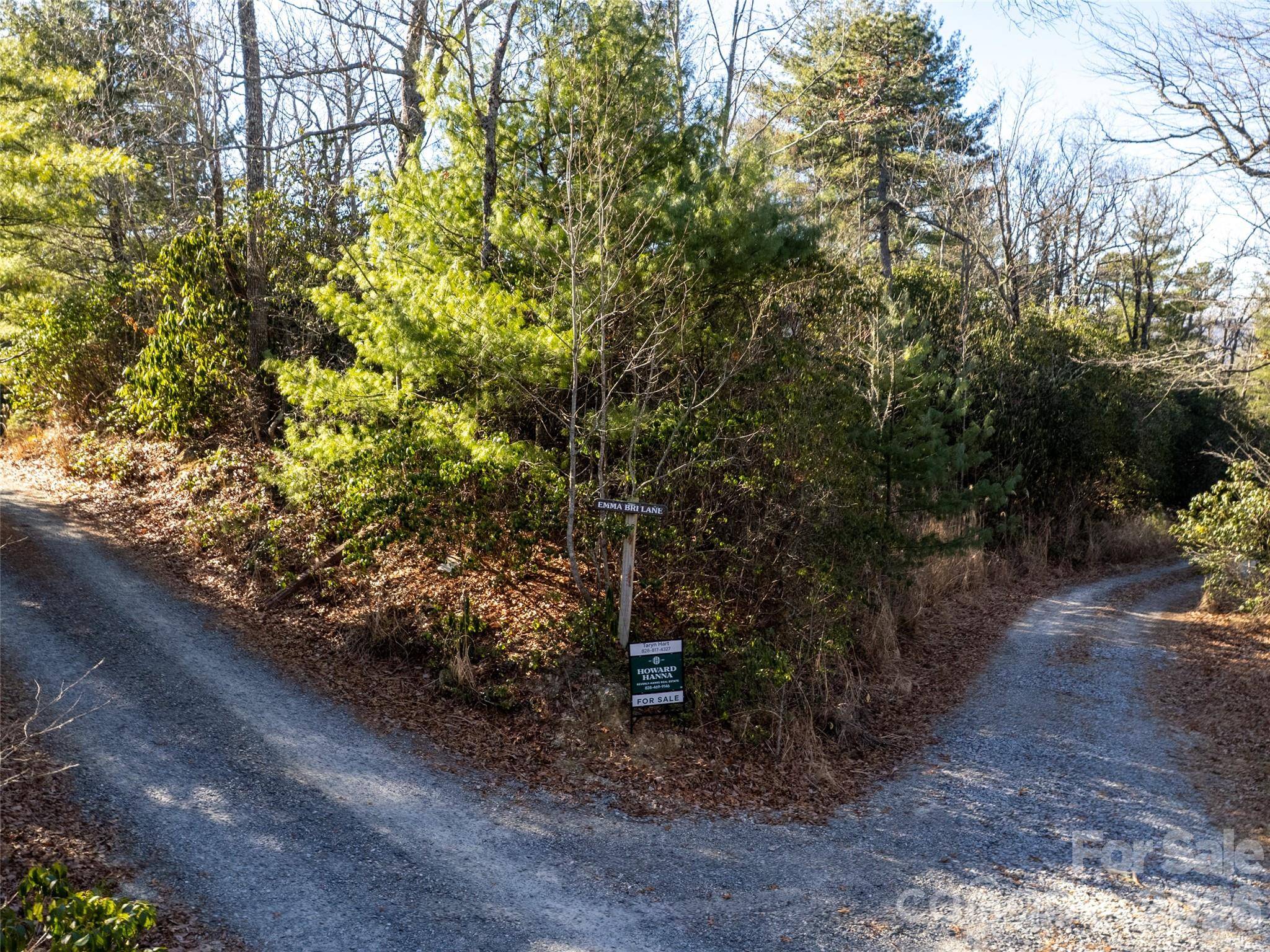 72 Emma Bri LN, Penrose, NC 28766
