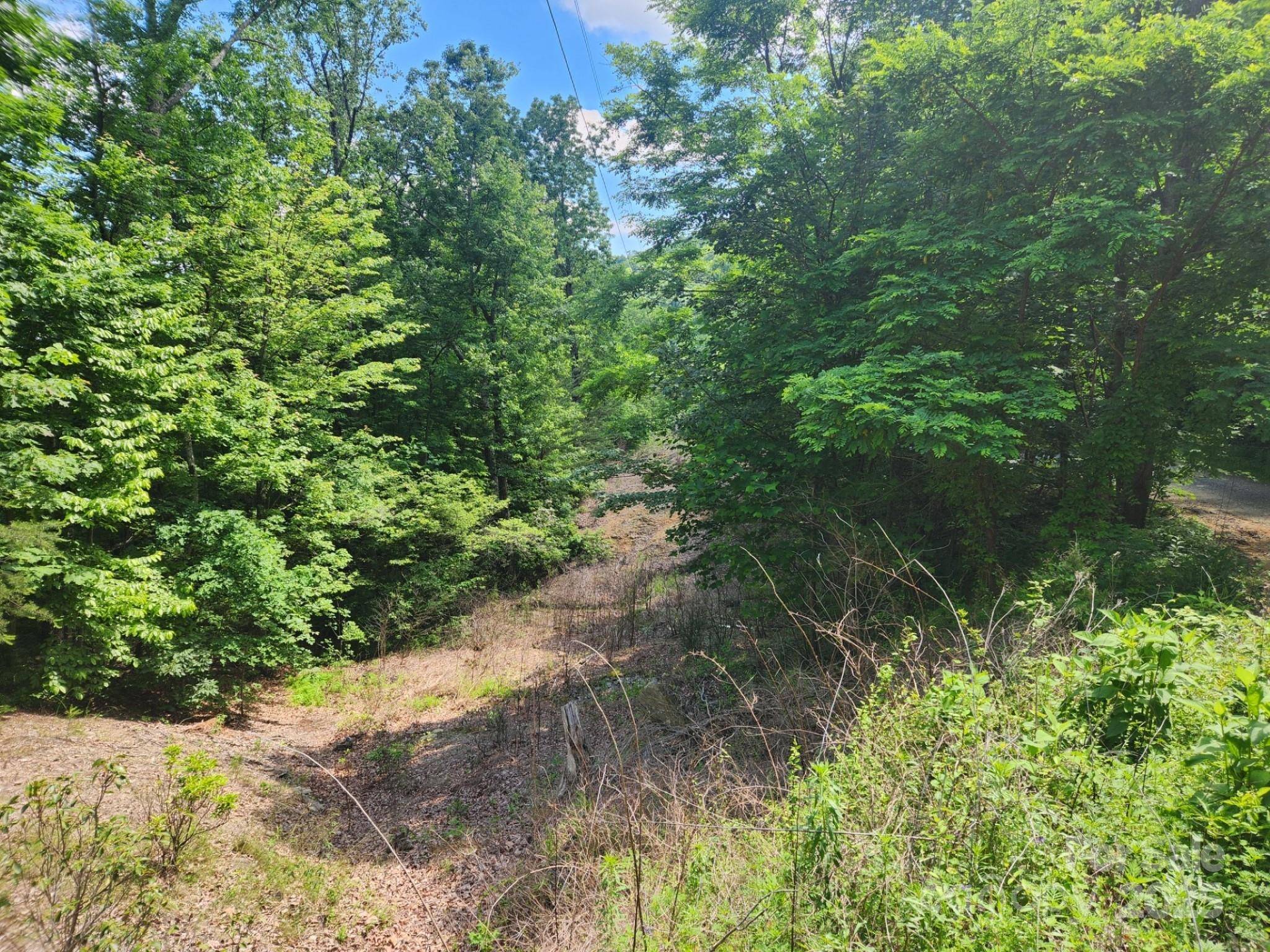 00 Hickory Nut LN #390, Lake Lure, NC 28746