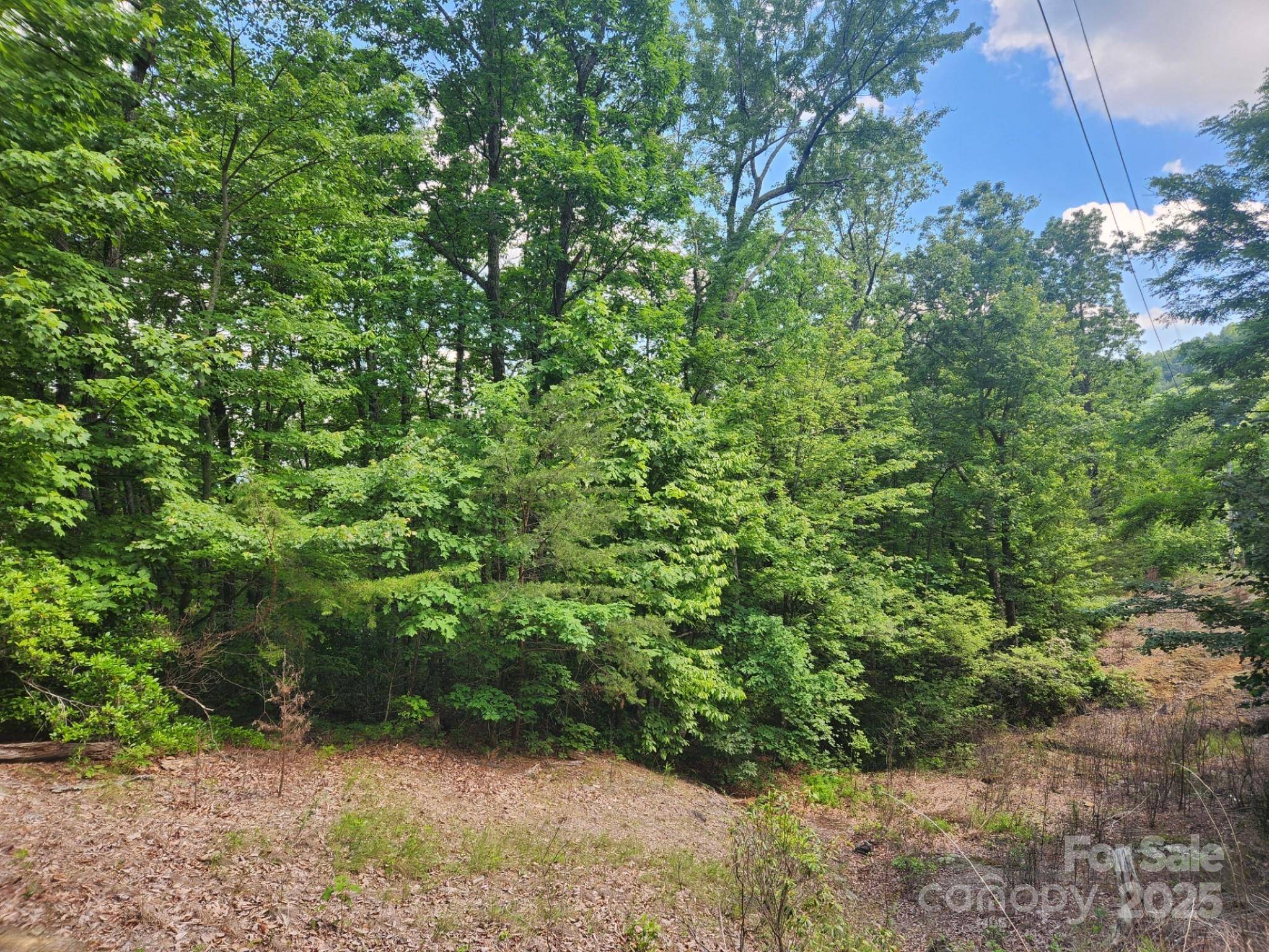 00 Hickory Nut LN #390, Lake Lure, NC 28746