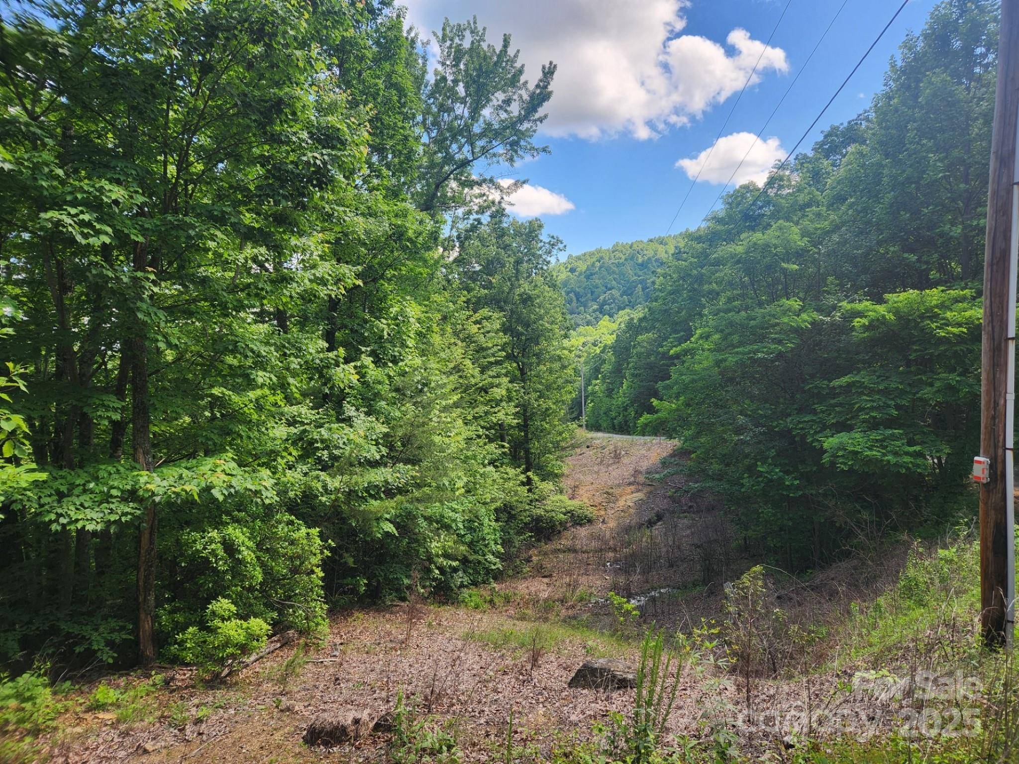 00 Hickory Nut LN #390, Lake Lure, NC 28746