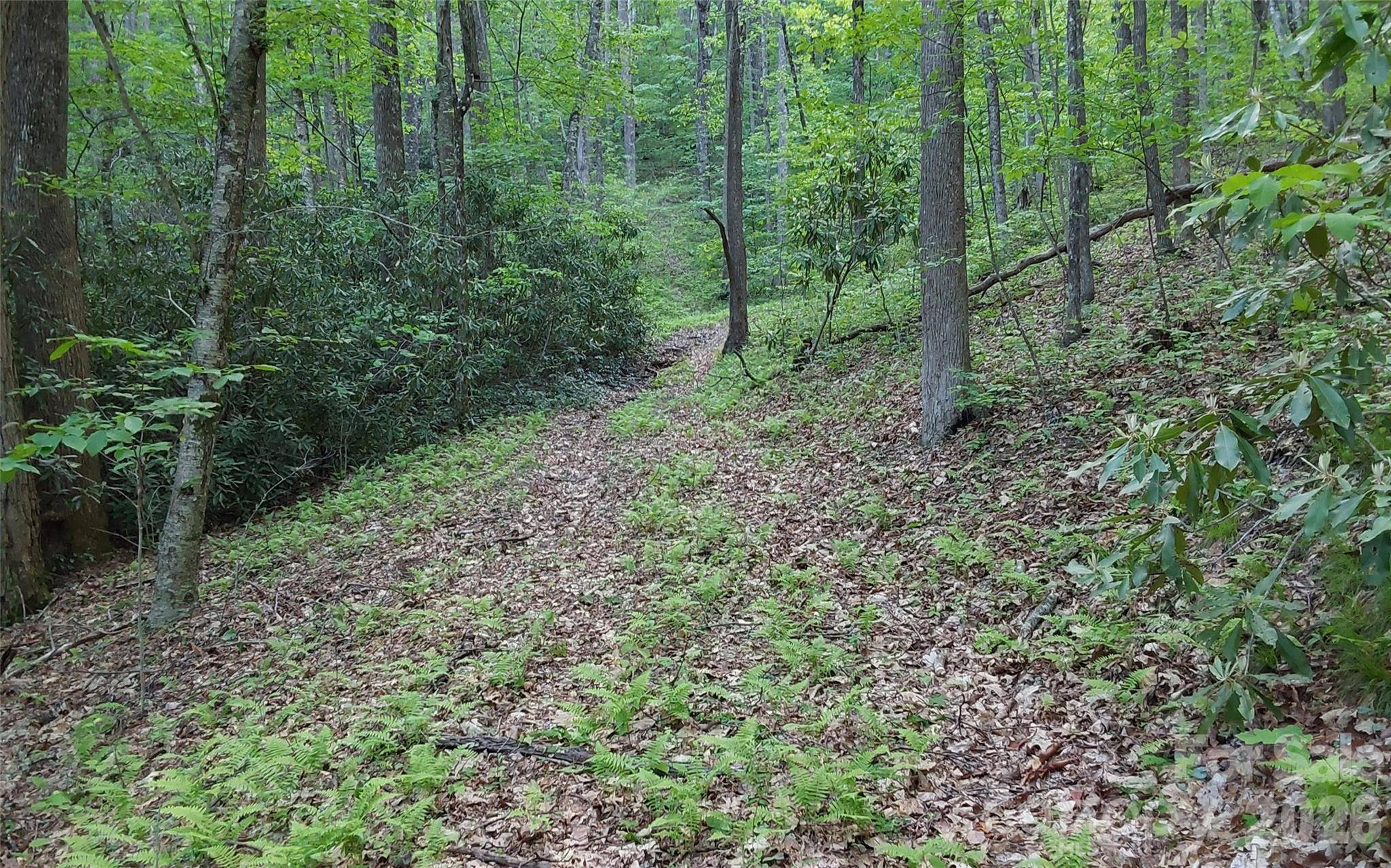 A2 CARDINAL DR, Lake Toxaway, NC 28747