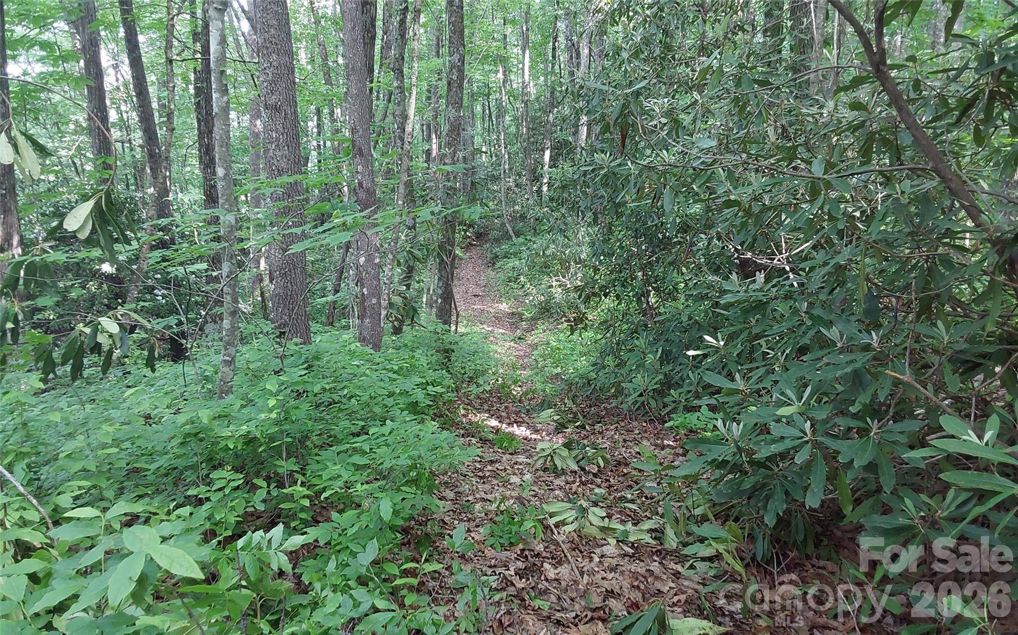 A2 CARDINAL DR, Lake Toxaway, NC 28747