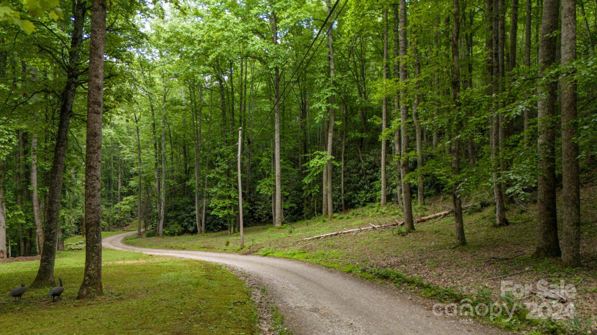 95 Treetops DR, Candler, NC 28715