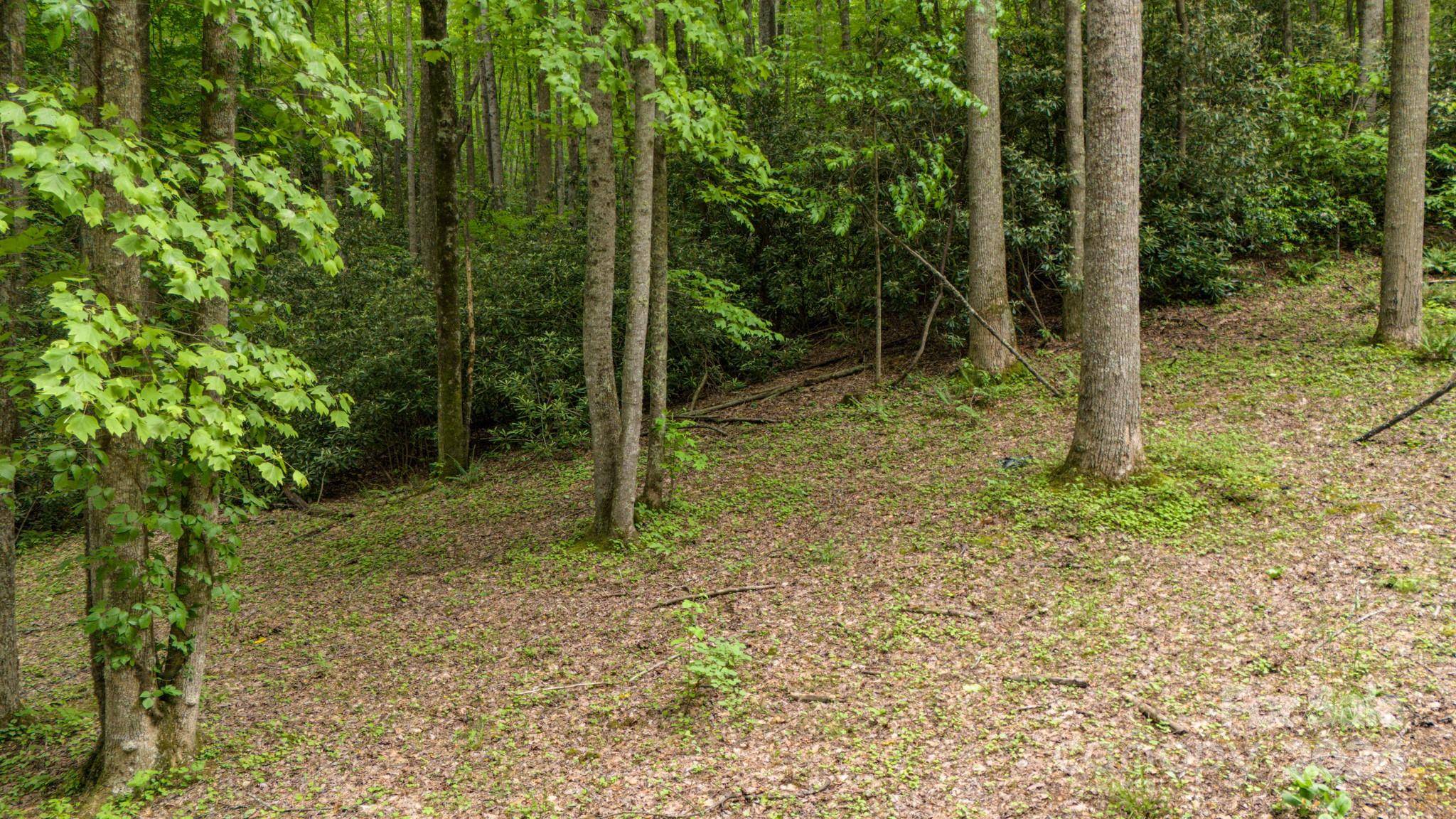 95 Treetops DR, Candler, NC 28715