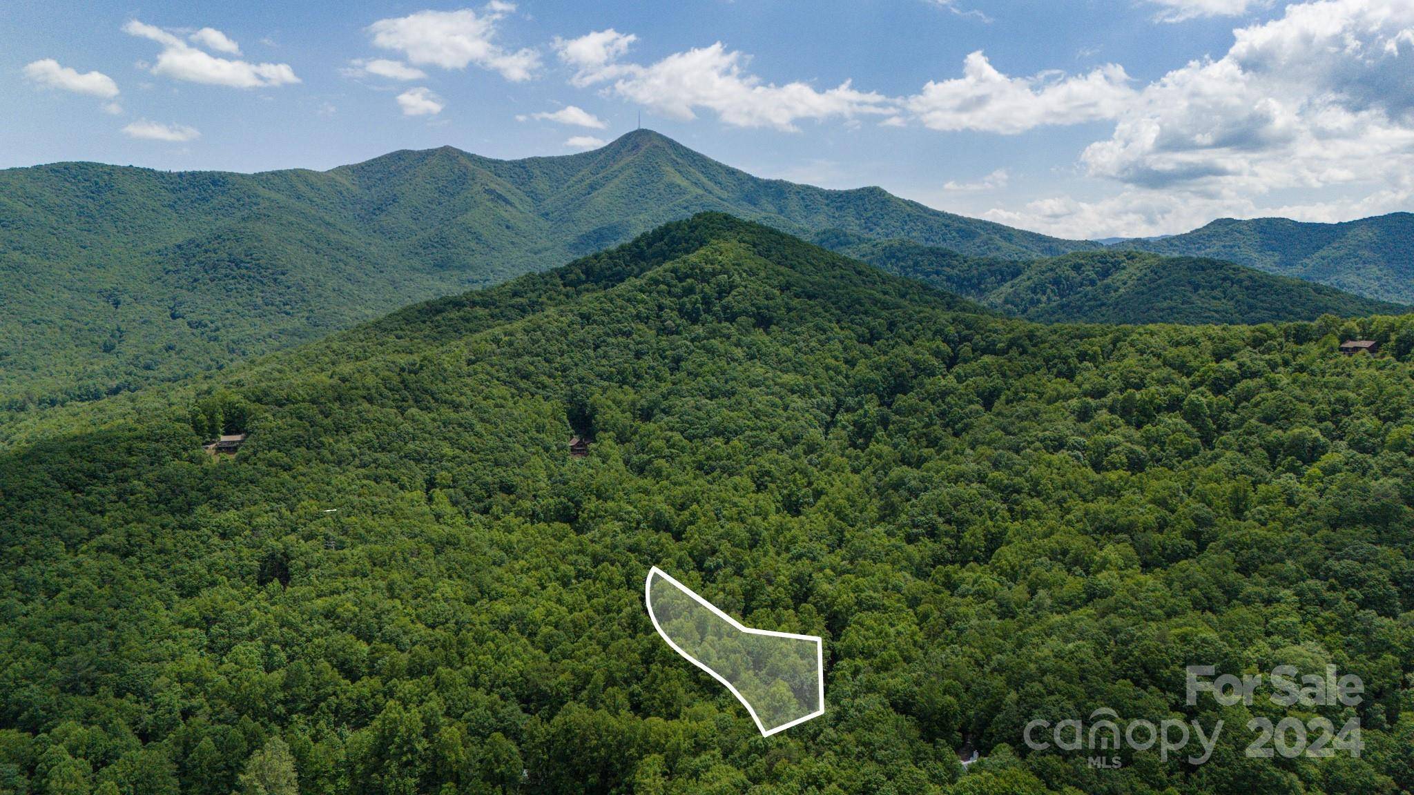 95 Treetops DR, Candler, NC 28715