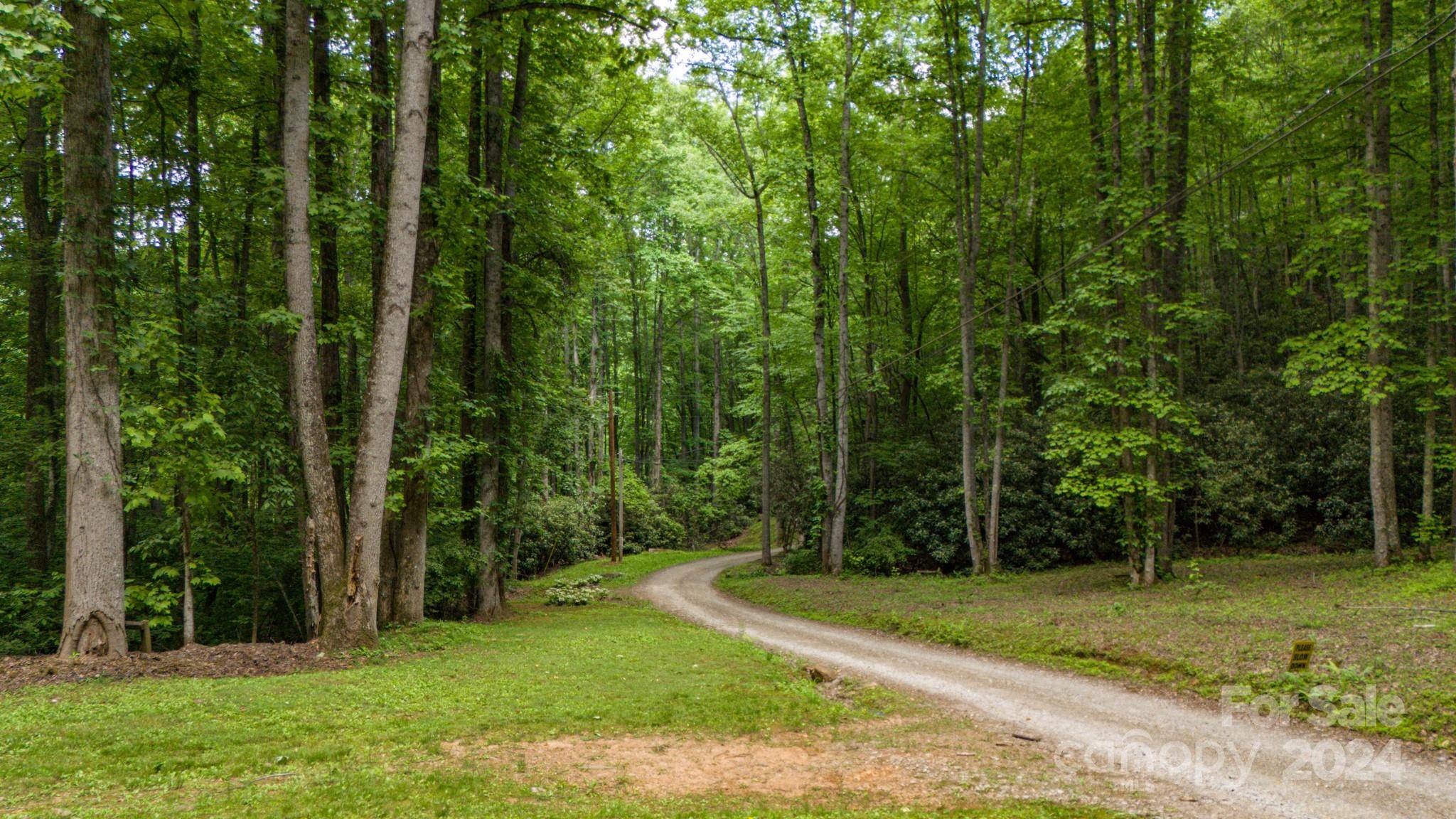 95 Treetops DR, Candler, NC 28715