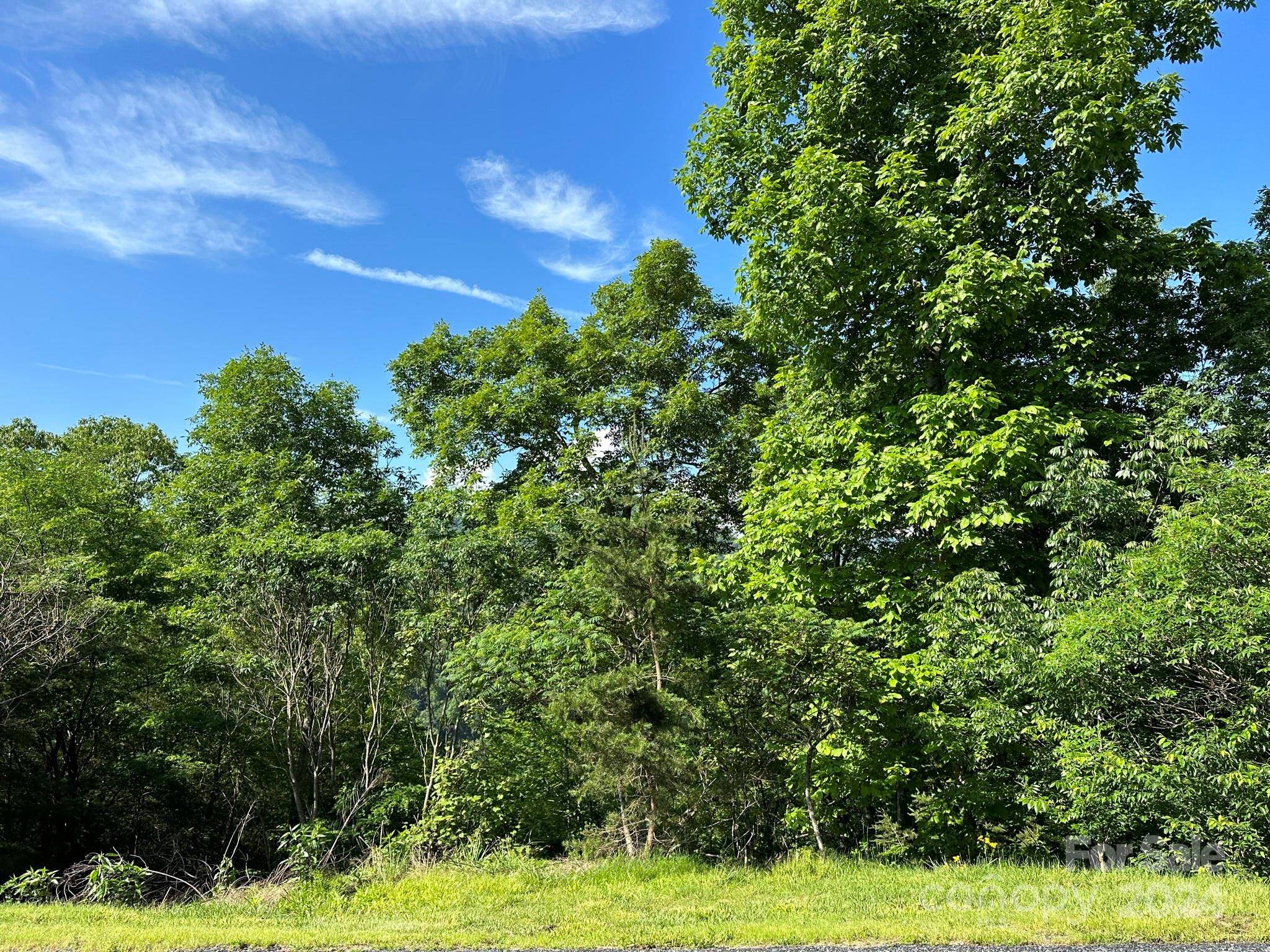 387 Wild River RUN #6, Marshall, NC 28753