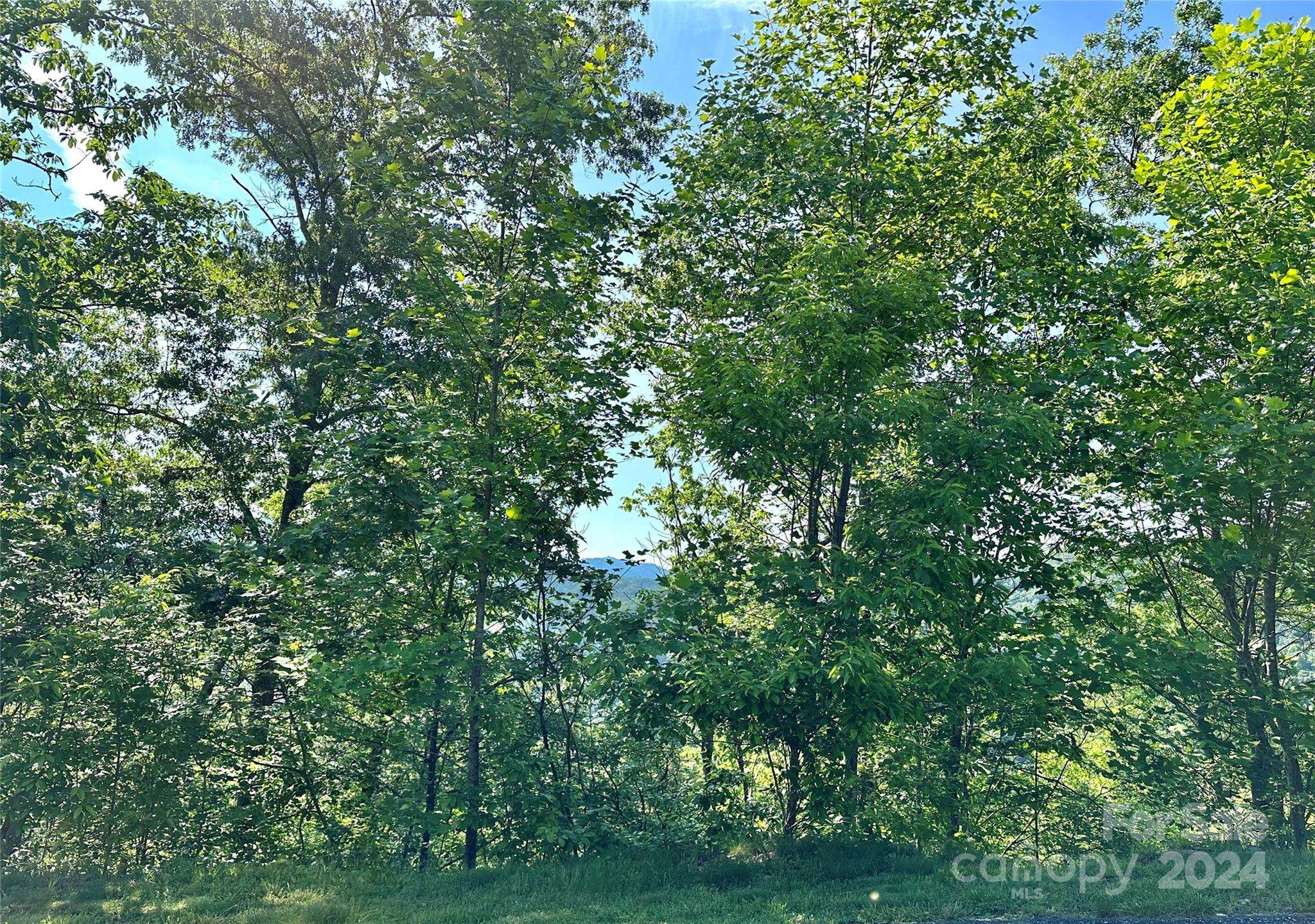 385 Wild River RUN #7, Marshall, NC 28753