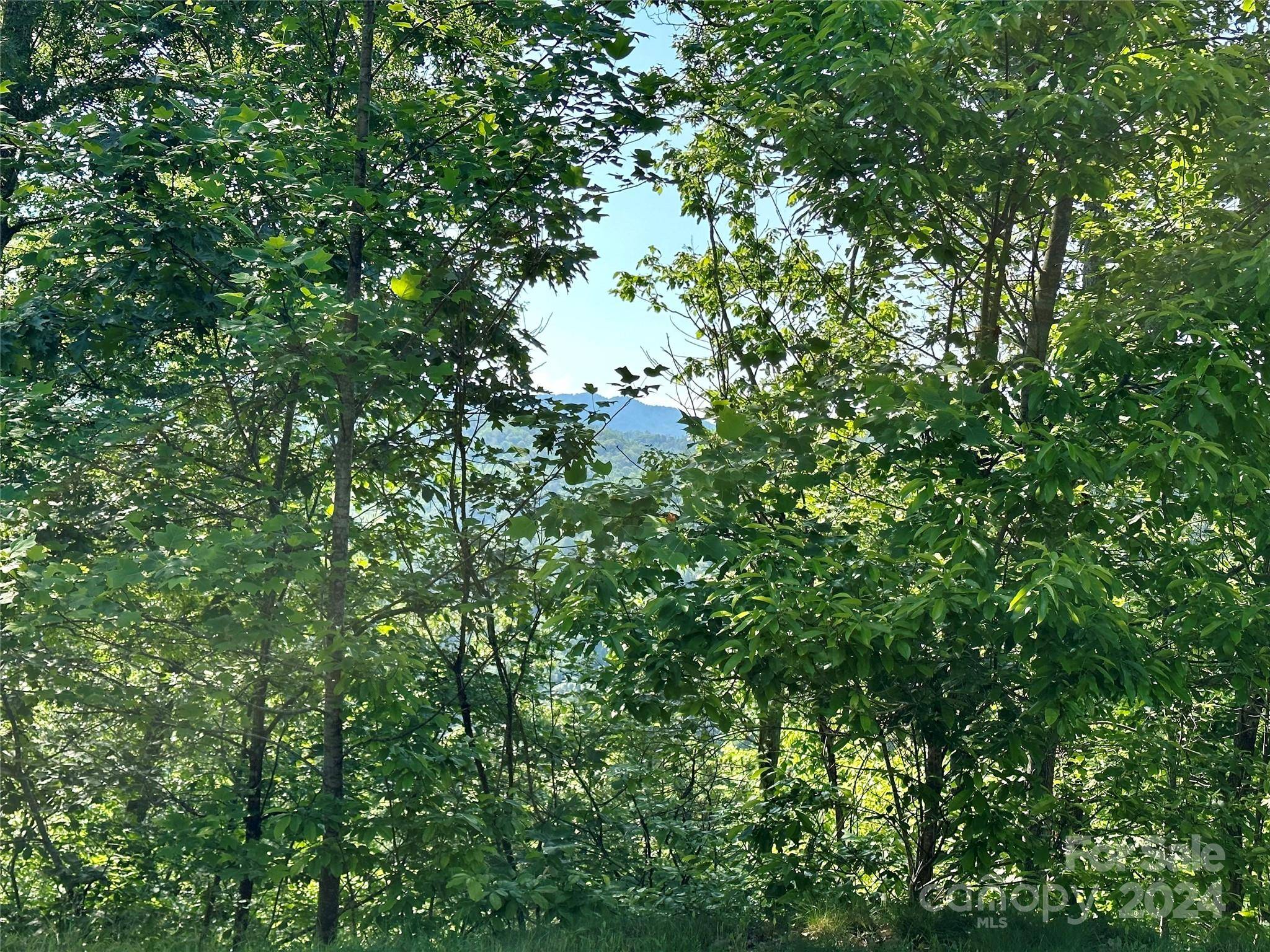 385 Wild River RUN #7, Marshall, NC 28753