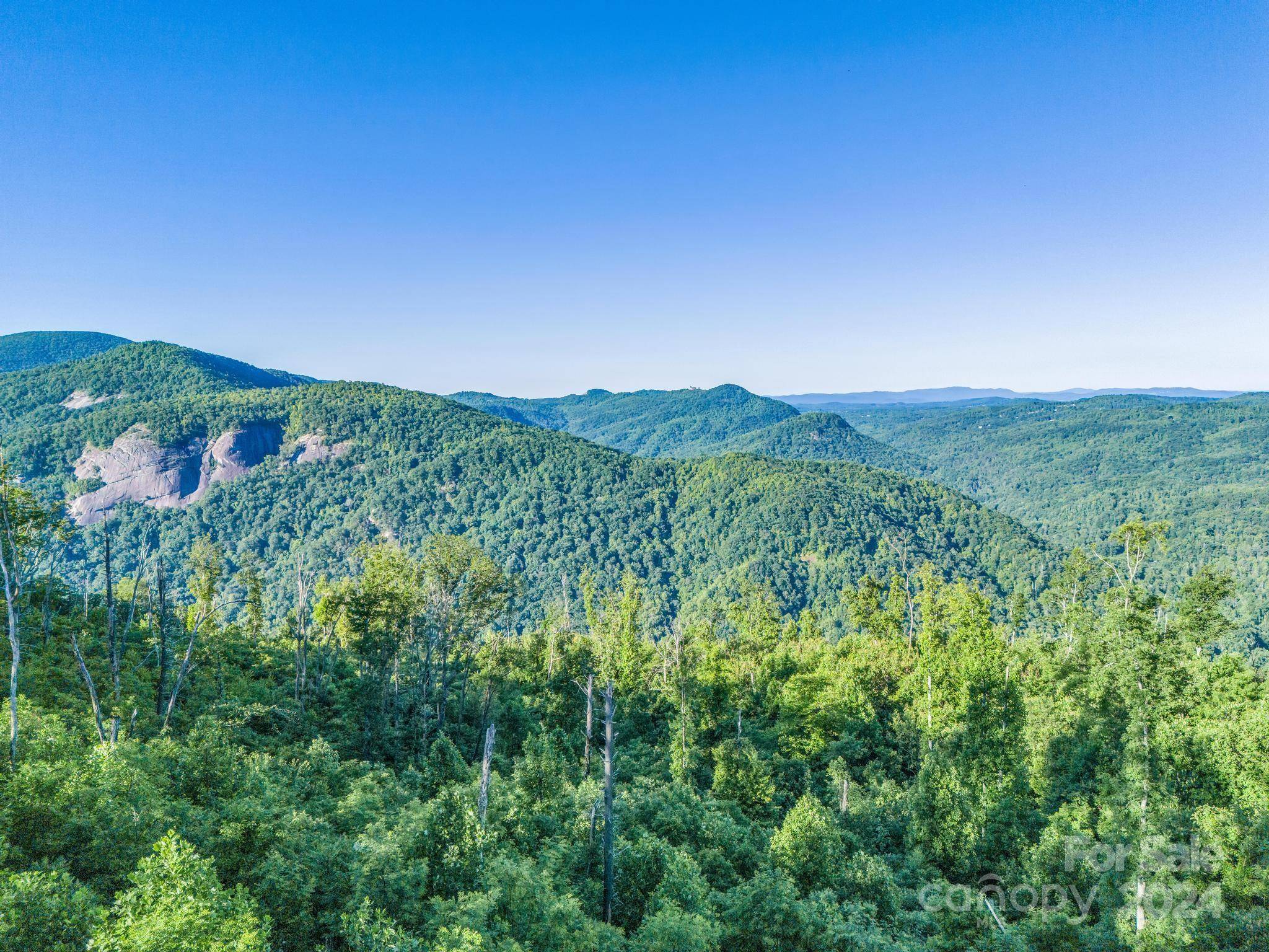 0000 H and H TRL, Bat Cave, NC 28710