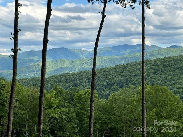 Lot 284 Running Deer TRL, Waynesville, NC 28786