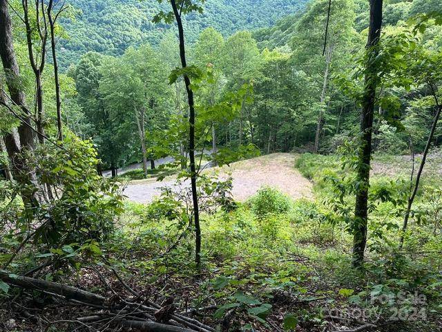 Lot 284 Running Deer TRL, Waynesville, NC 28786