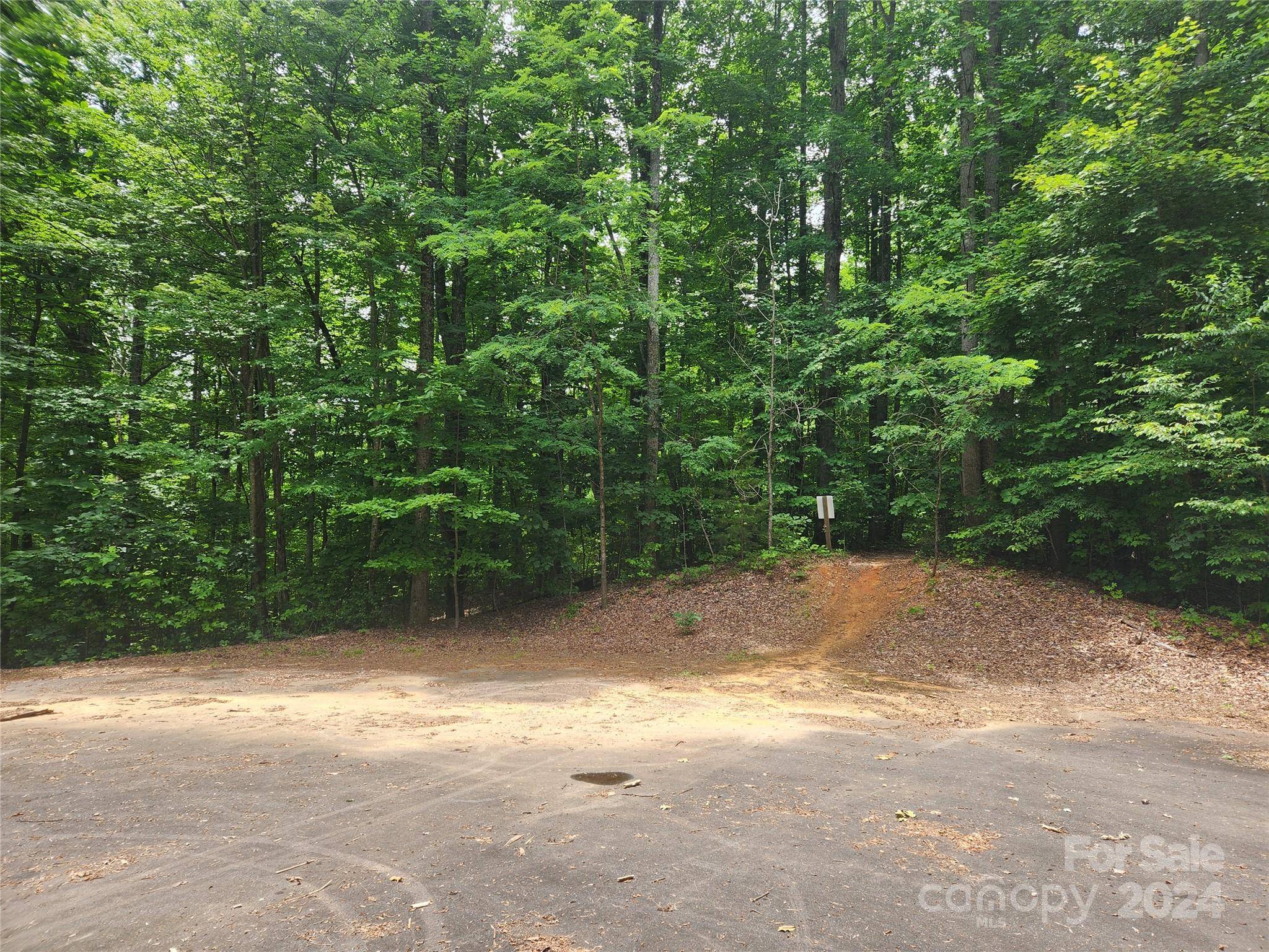 00 Trail Ridge DR #115, Marion, NC 28752