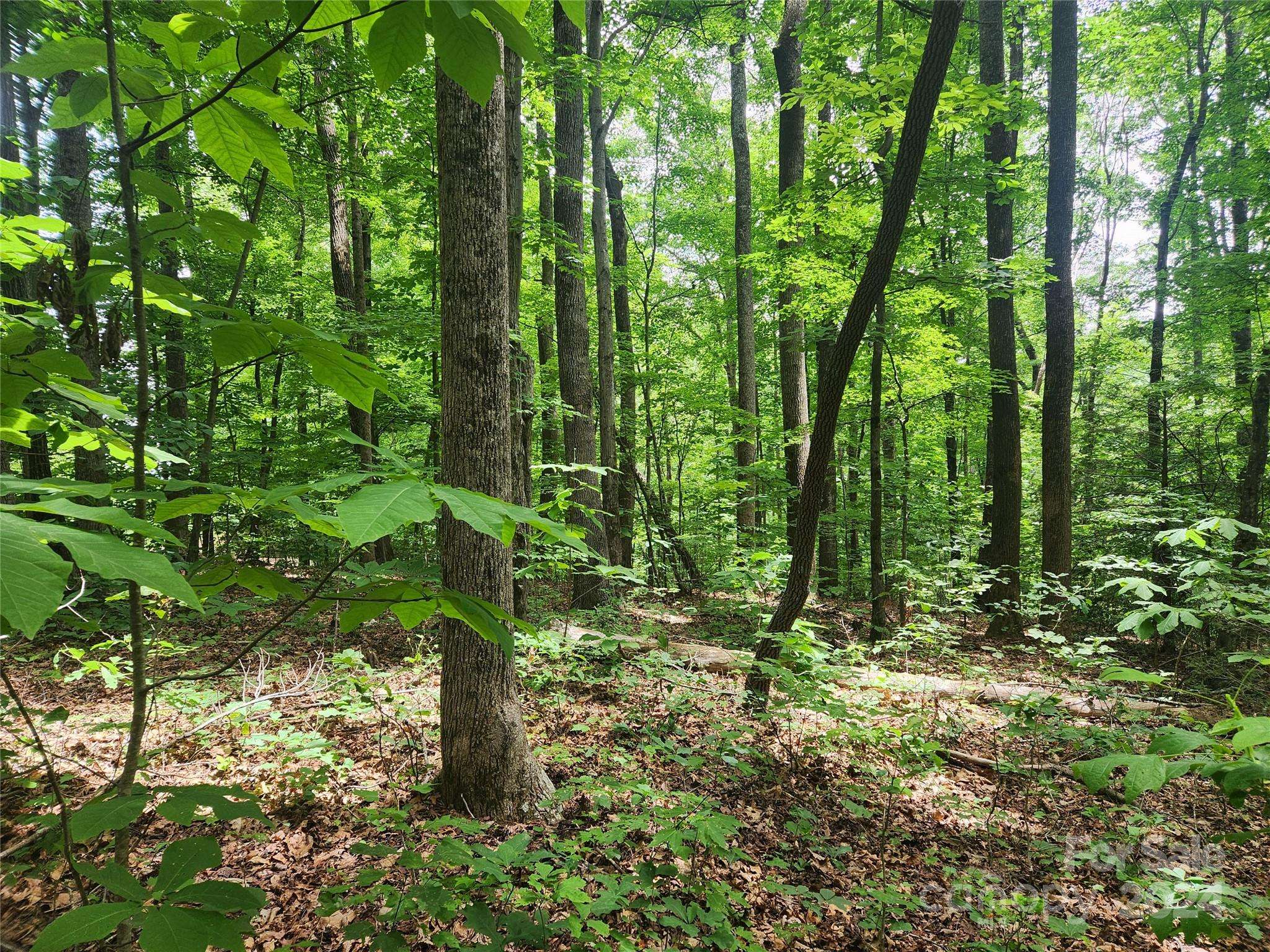 00 Trail Ridge DR #115, Marion, NC 28752