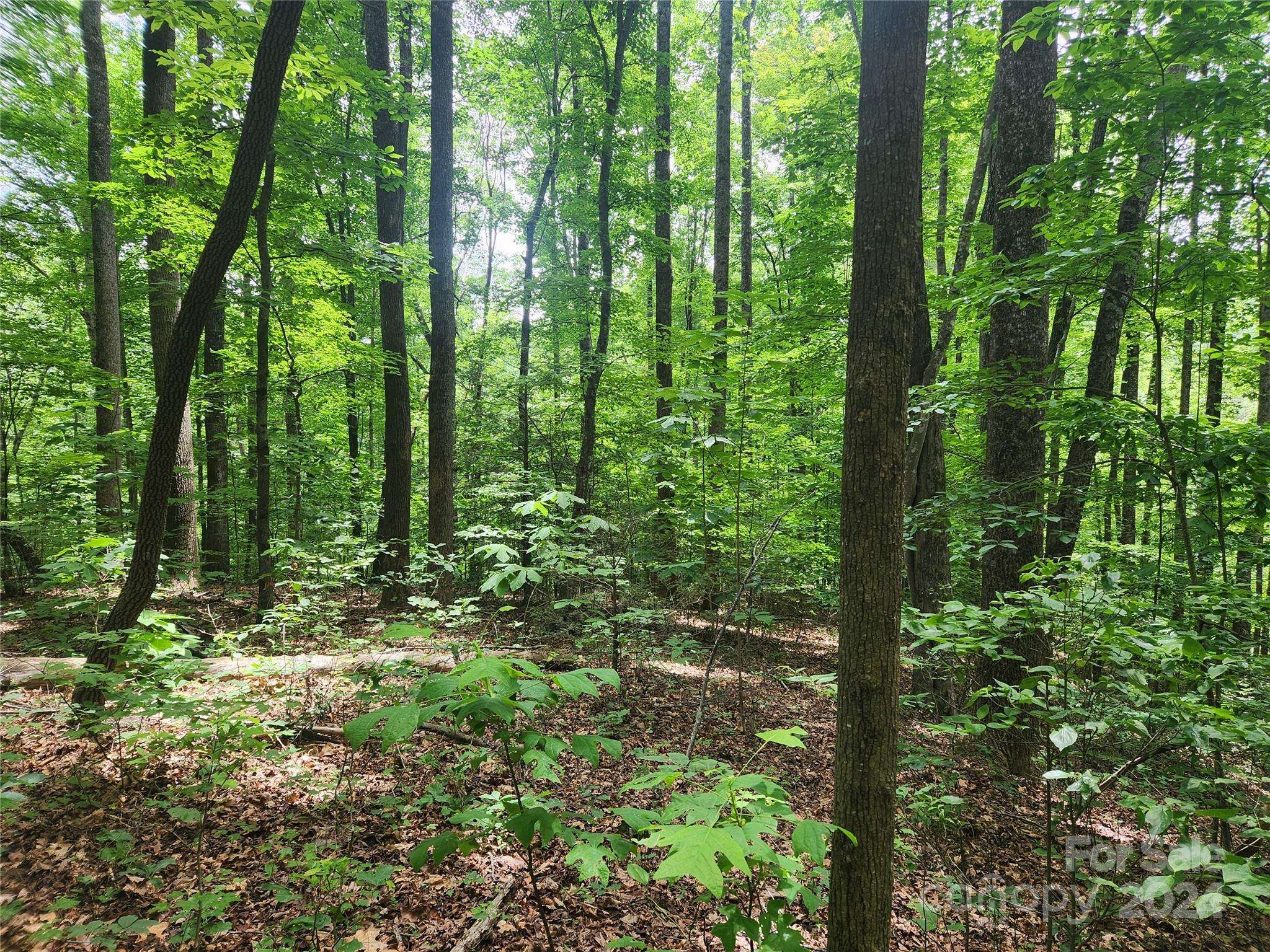 00 Trail Ridge DR #115, Marion, NC 28752