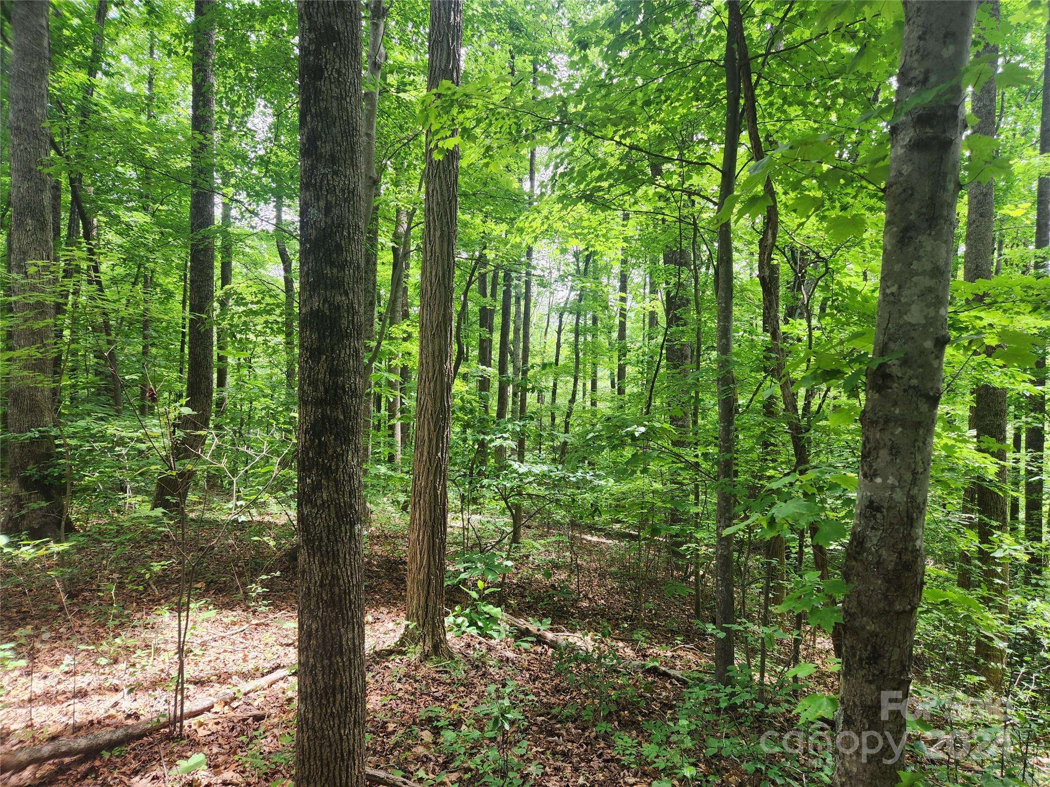 00 Trail Ridge DR #115, Marion, NC 28752