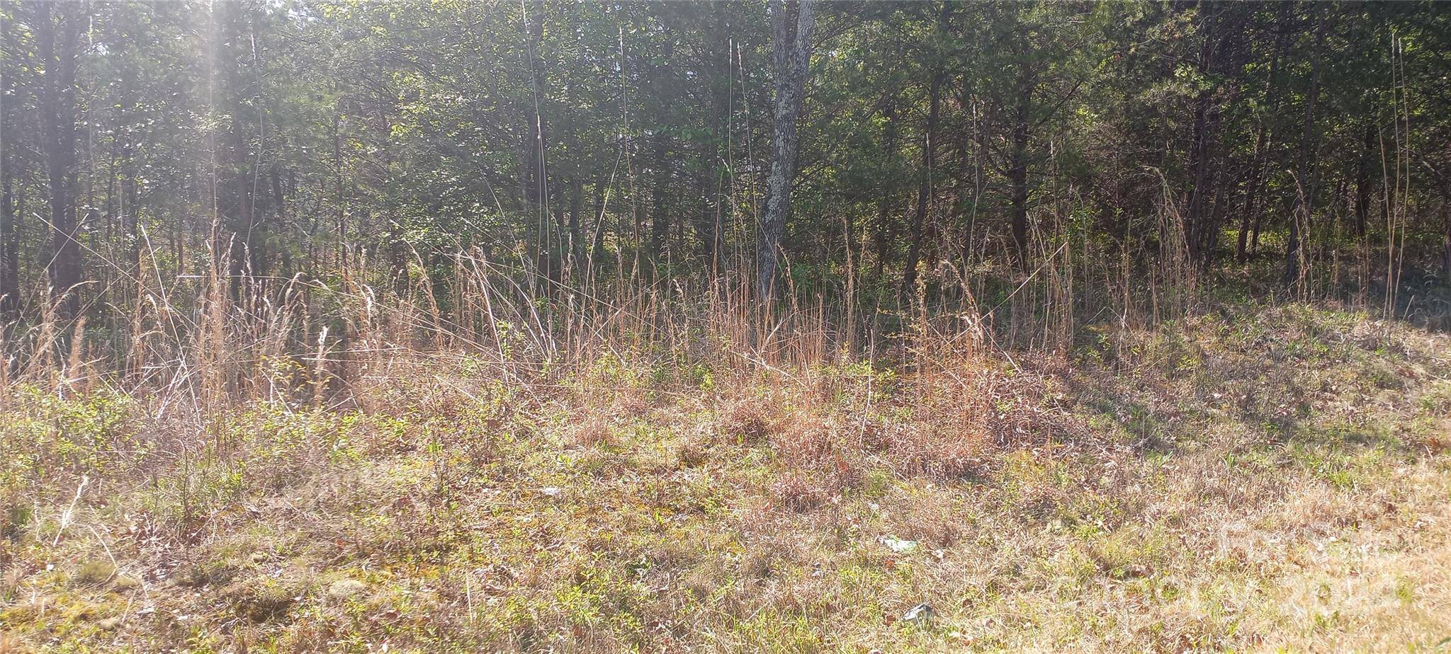 TBD Biggerstaff LOOP #lot #  21, Nebo, NC 28761
