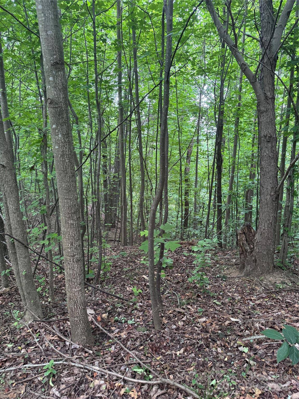 0 Holland DR #18, Columbus, NC 28722