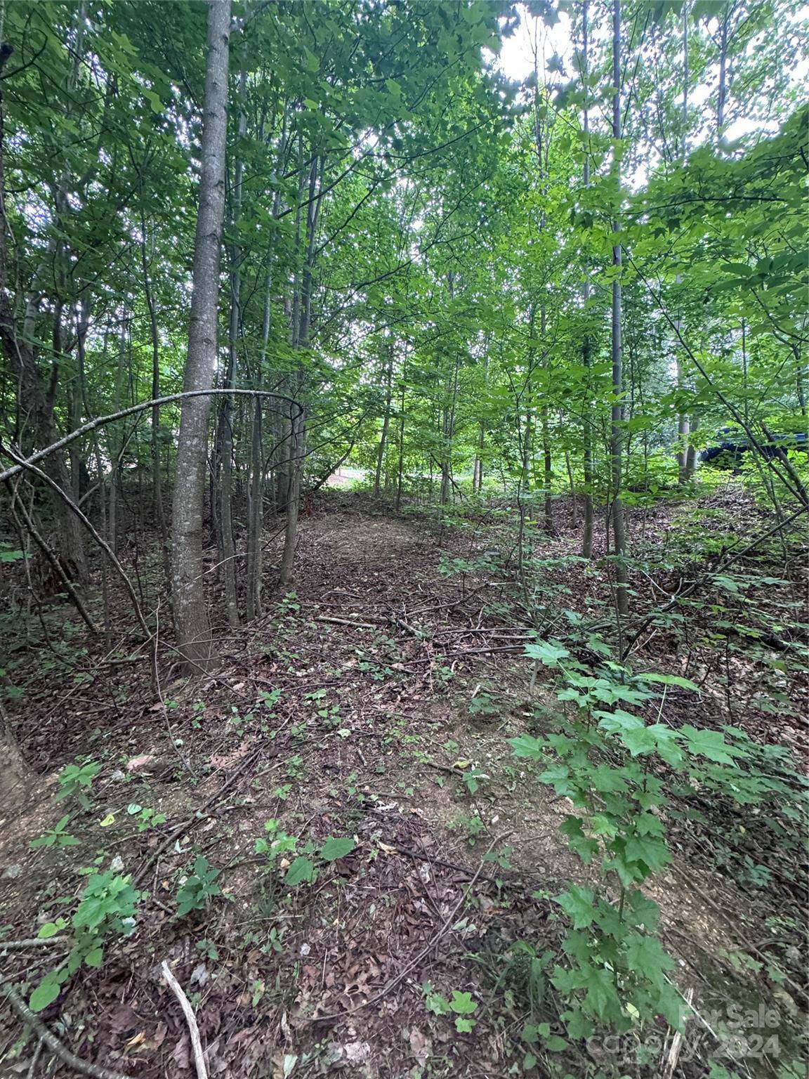 0 Holland DR #18, Columbus, NC 28722