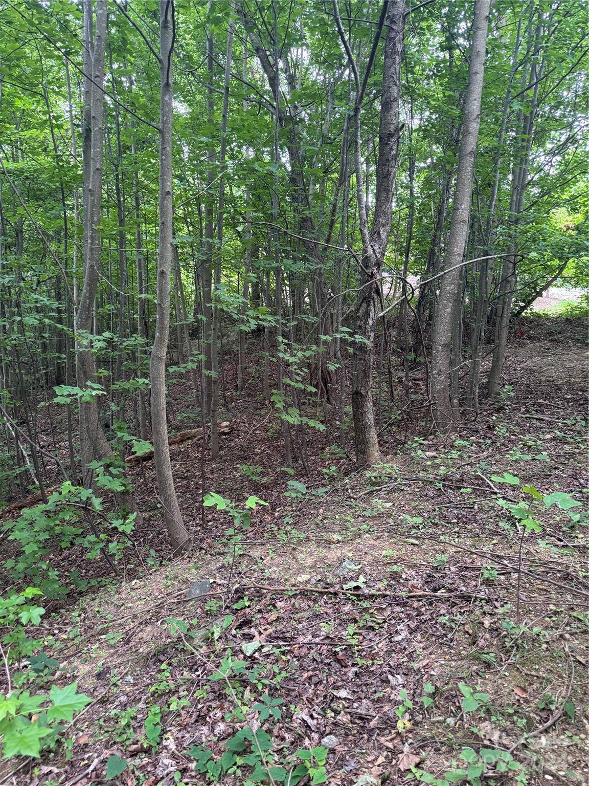 0 Holland DR #18, Columbus, NC 28722