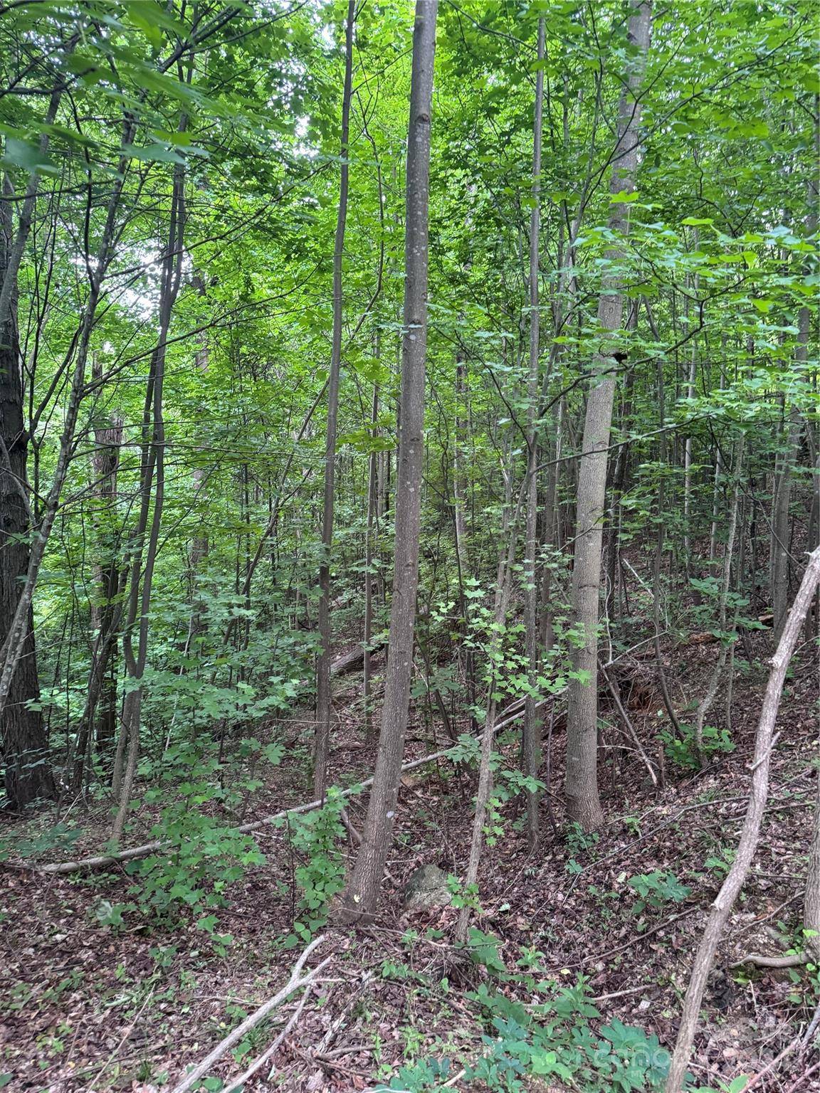 0 Holland DR #18, Columbus, NC 28722