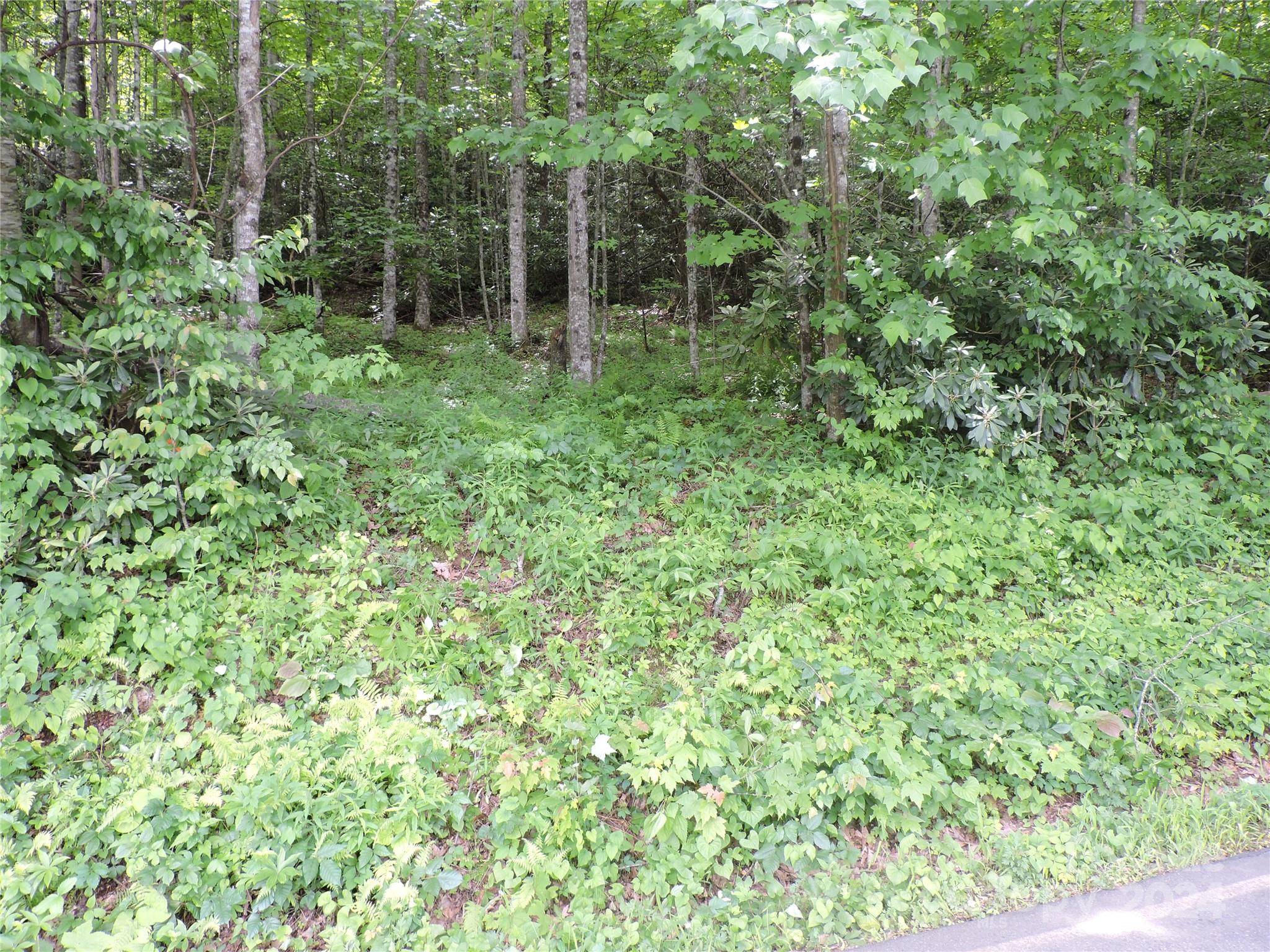 00 South Toe River RD #lot 2, Burnsville, NC 28714