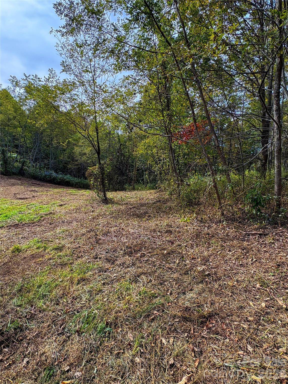 Tract 2 Turkey Trot RD, Clyde, NC 28721