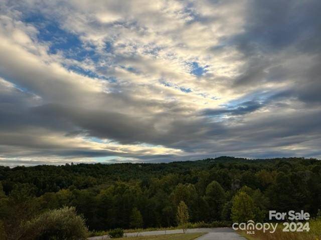 00 Stow-A-Way DR #44, Nebo, NC 28761