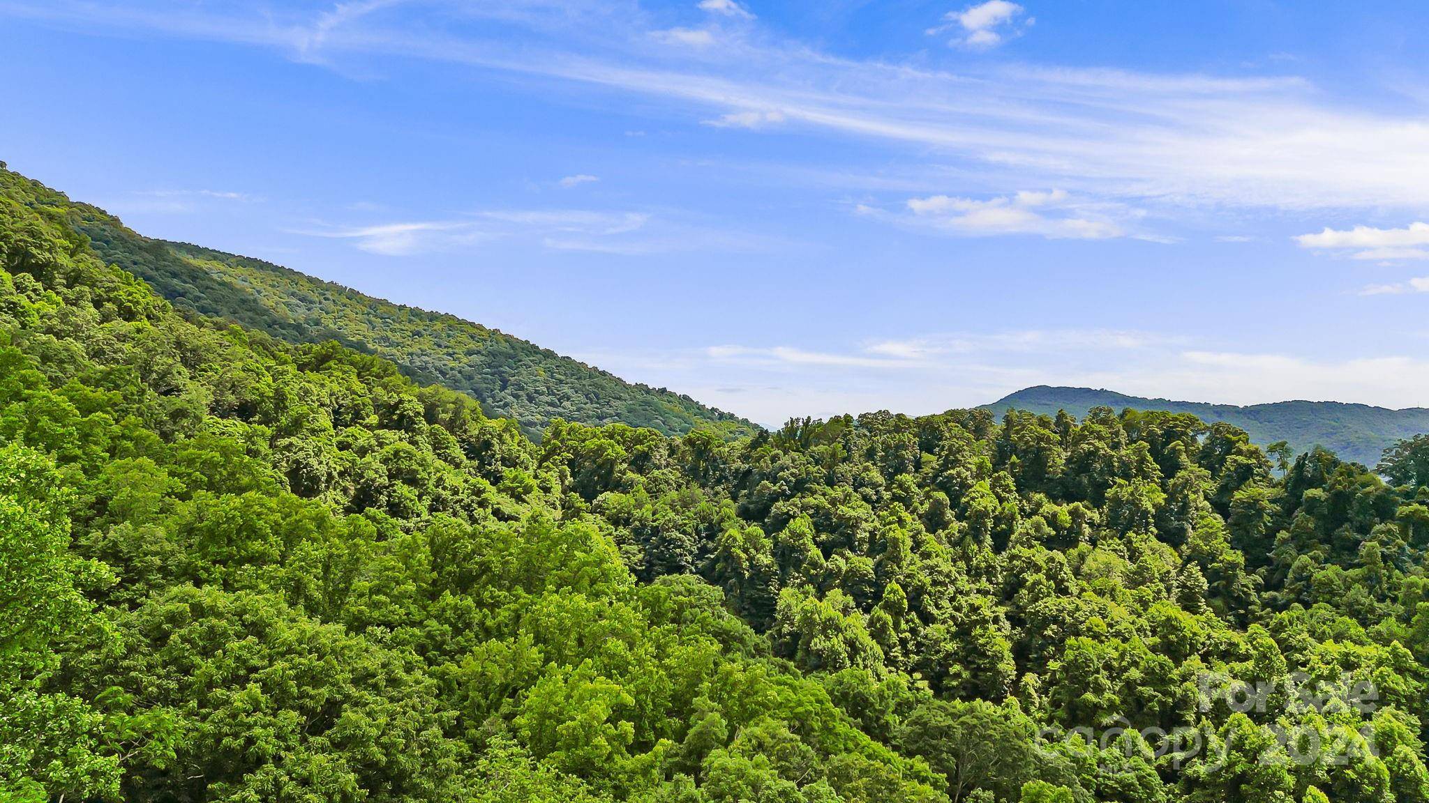 158 Sugar Cove RD, Weaverville, NC 28787