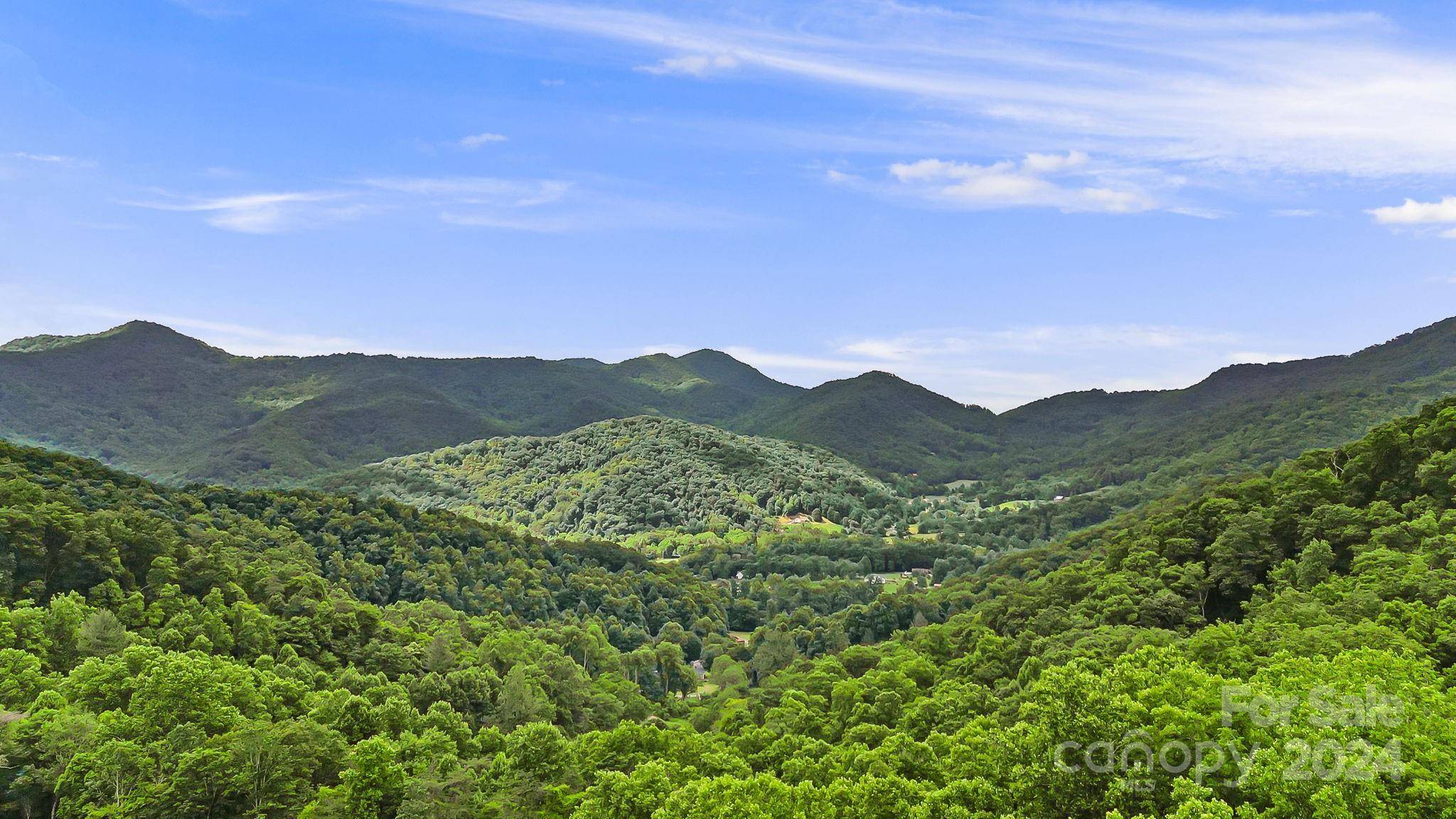 158 Sugar Cove RD, Weaverville, NC 28787