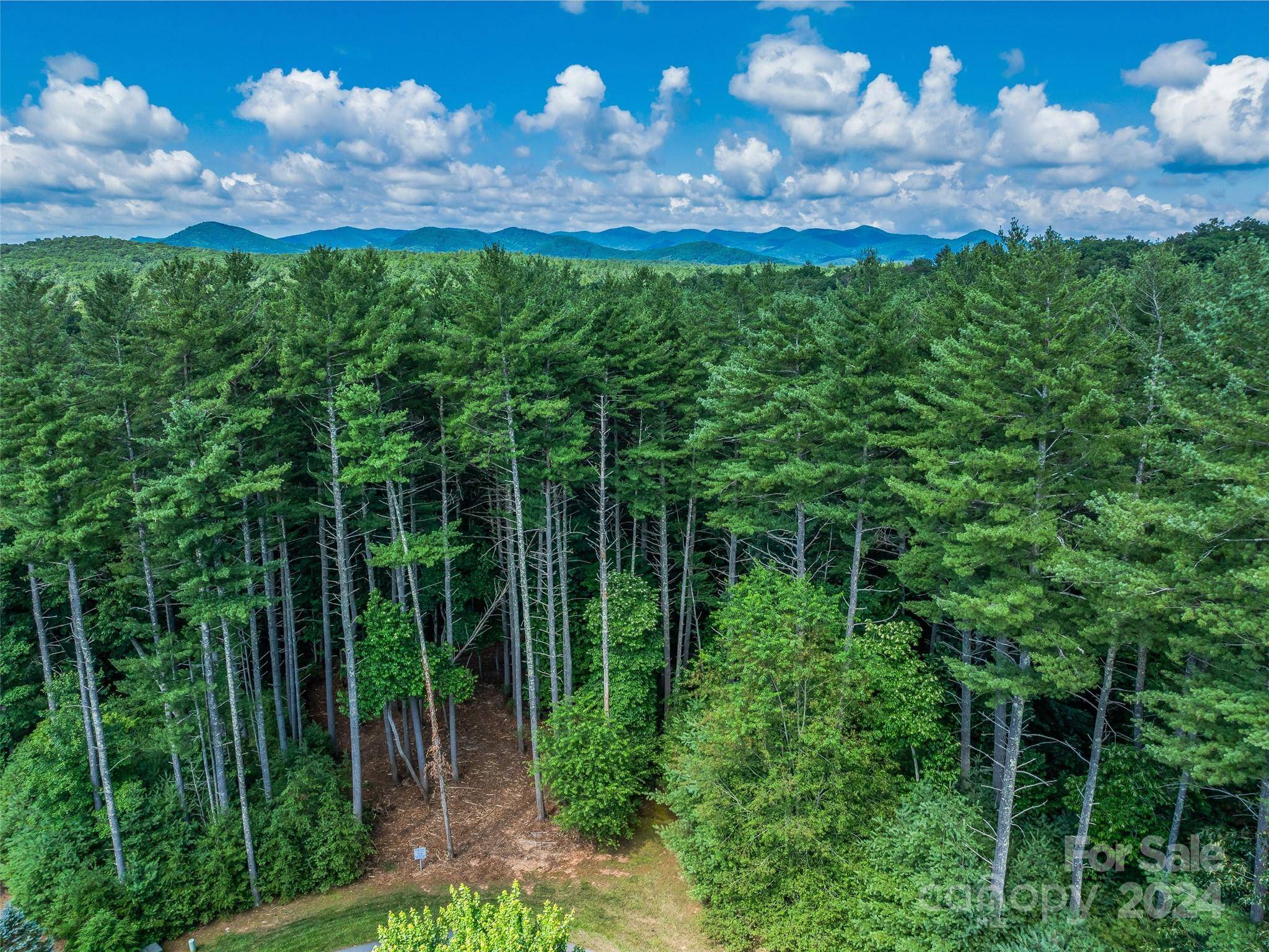 128 Mirehouse RUN #144, Asheville, NC 28803