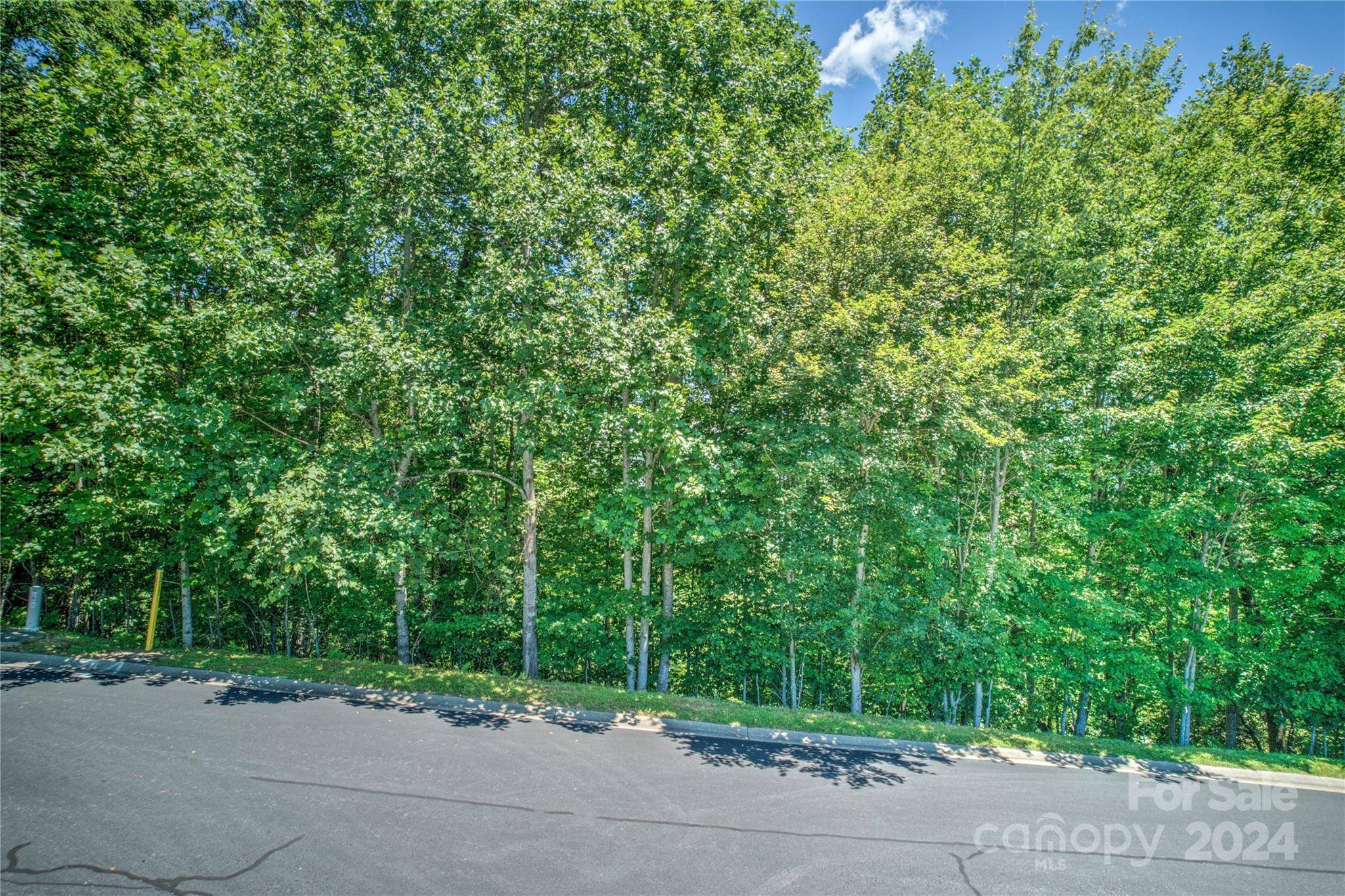 1018 Mills River WAY, Horse Shoe, NC 28742