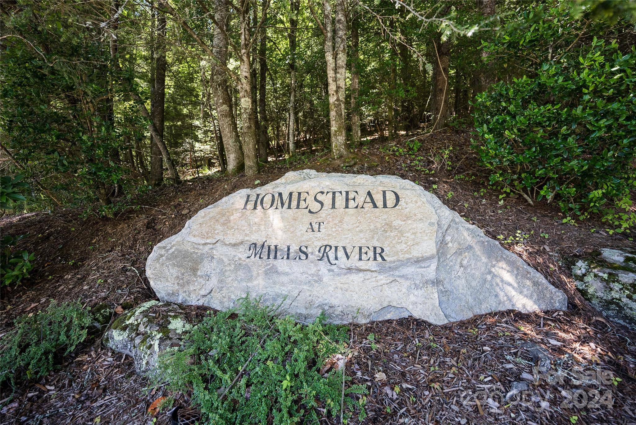 1018 Mills River WAY, Horse Shoe, NC 28742