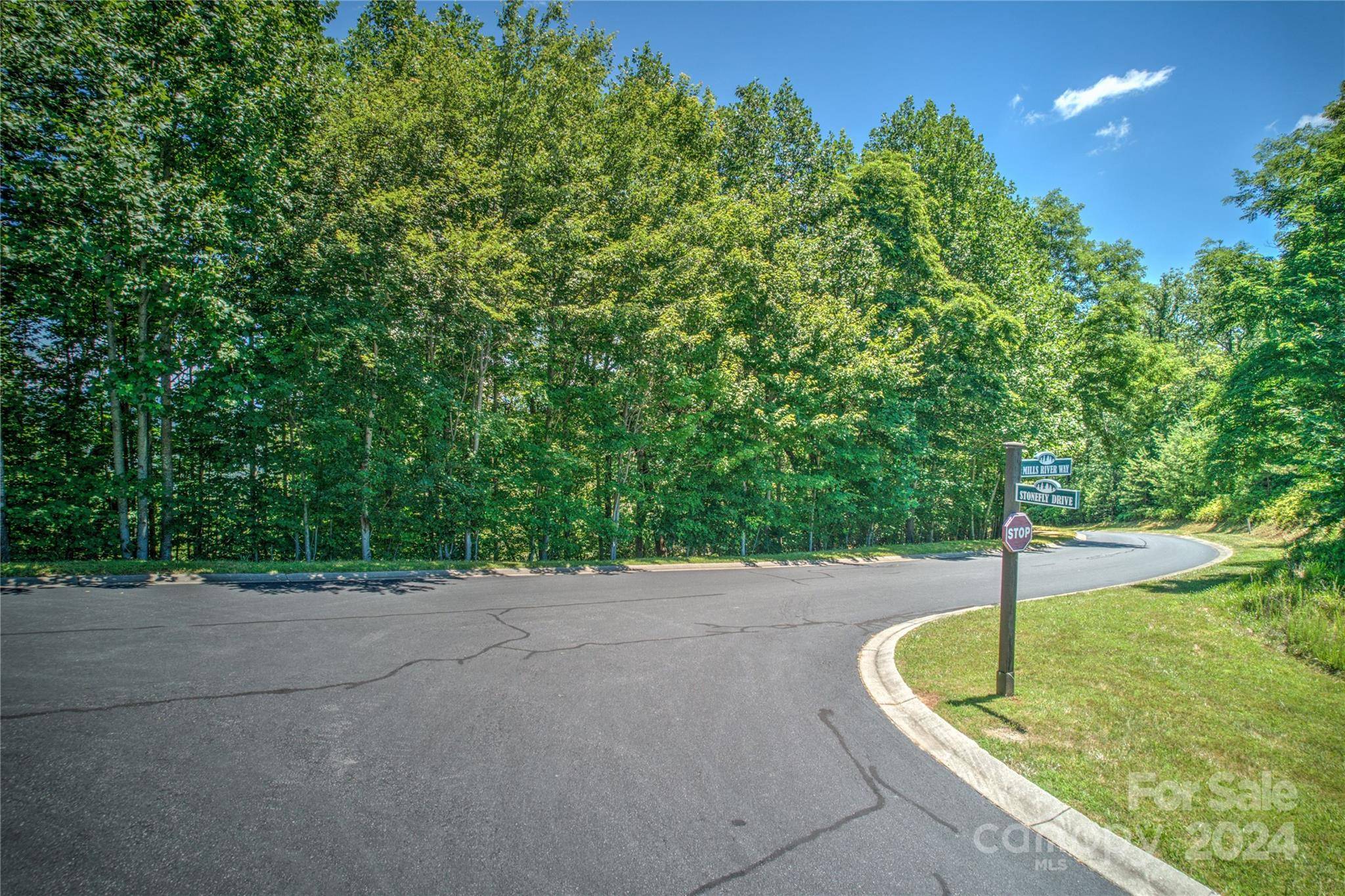 1018 Mills River WAY, Horse Shoe, NC 28742