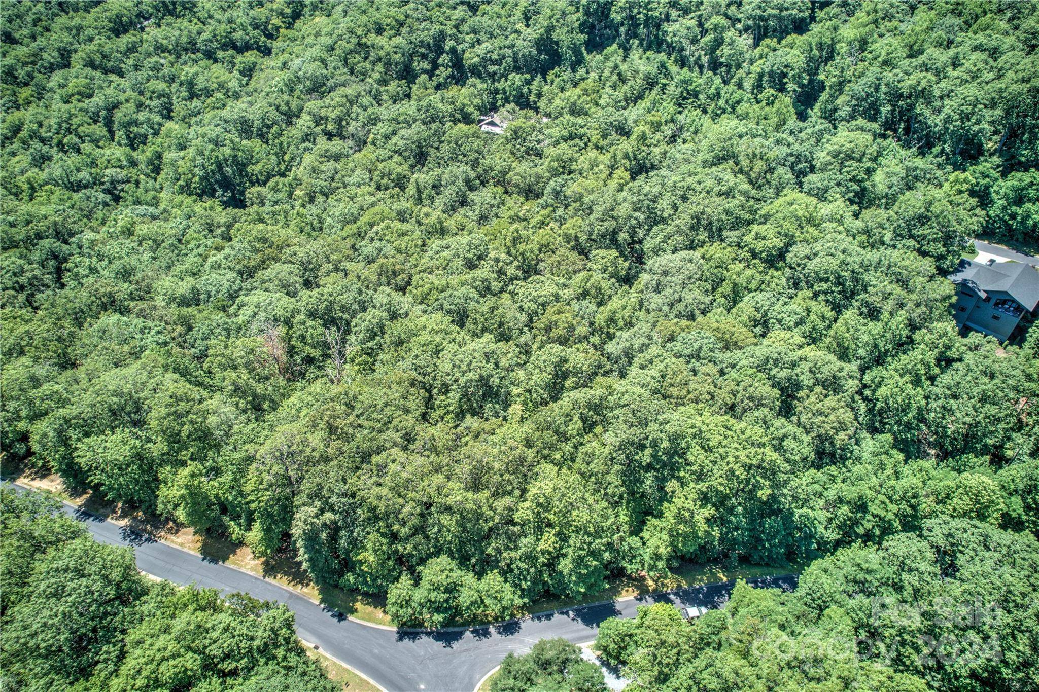 567 Shining Rock PATH, Horse Shoe, NC 28742