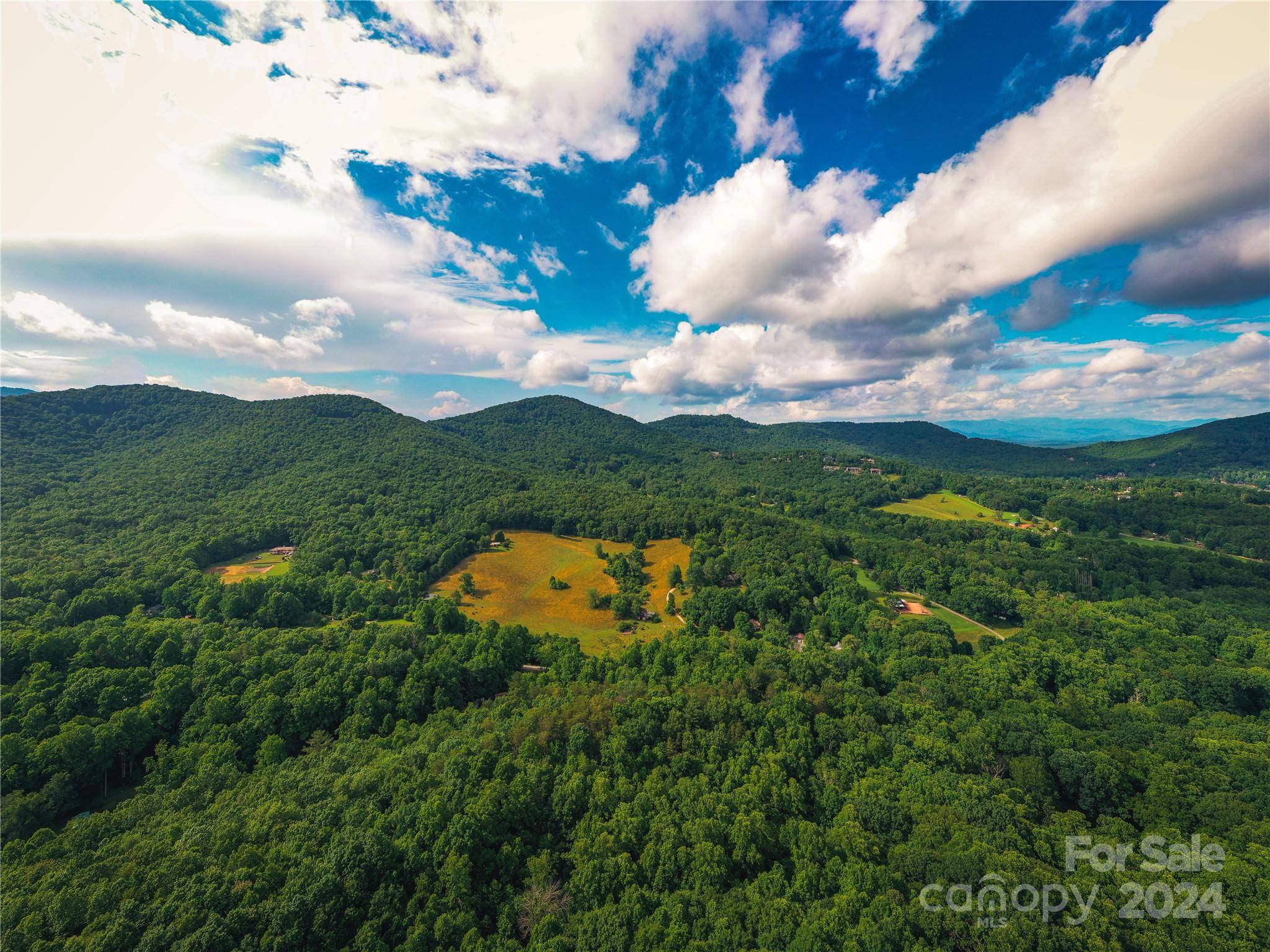240 Smokemont DR, Arden, NC 28704